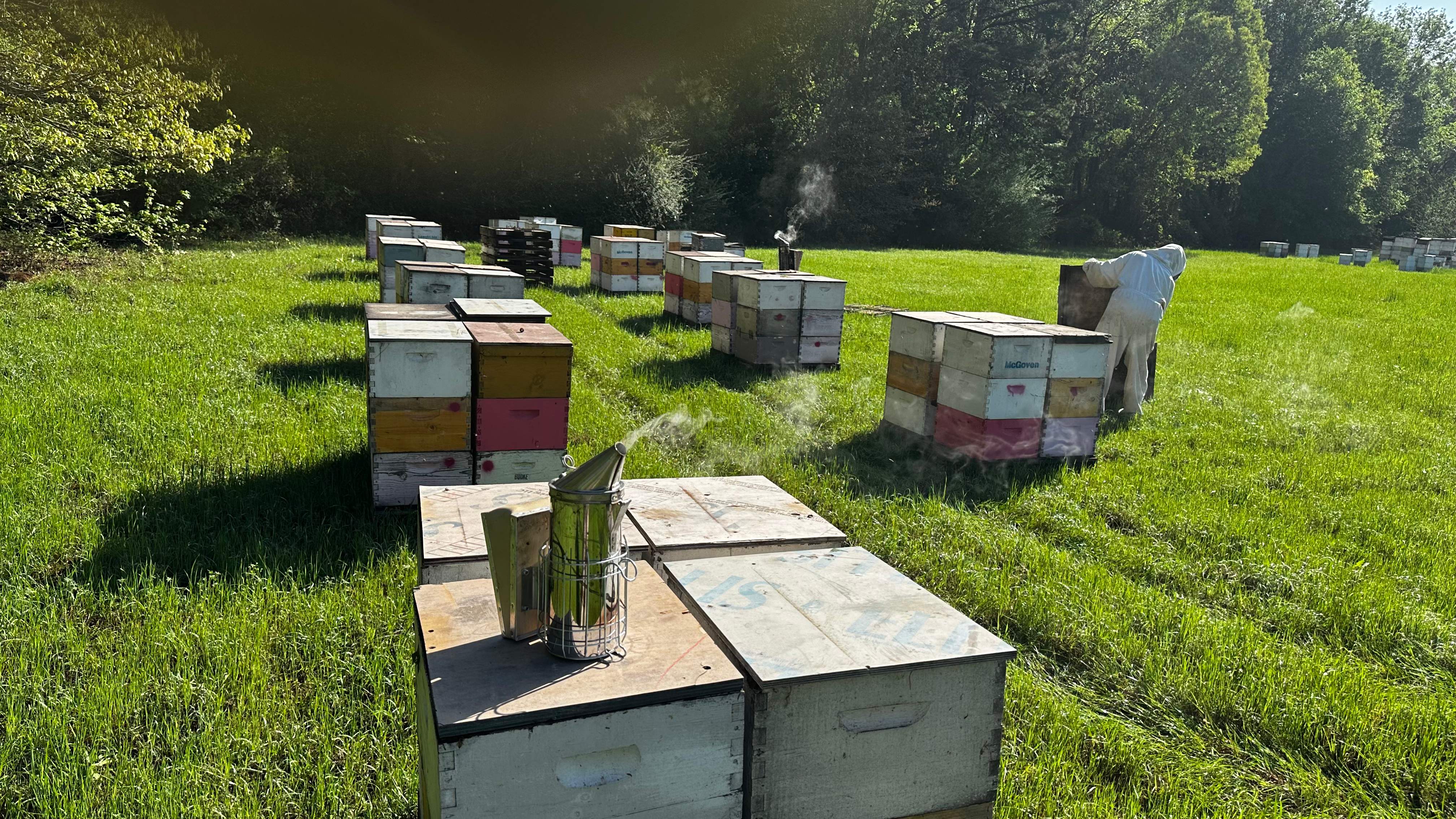Traylor's Hay Meadow Apiary by Rockwall Honey Bee Company