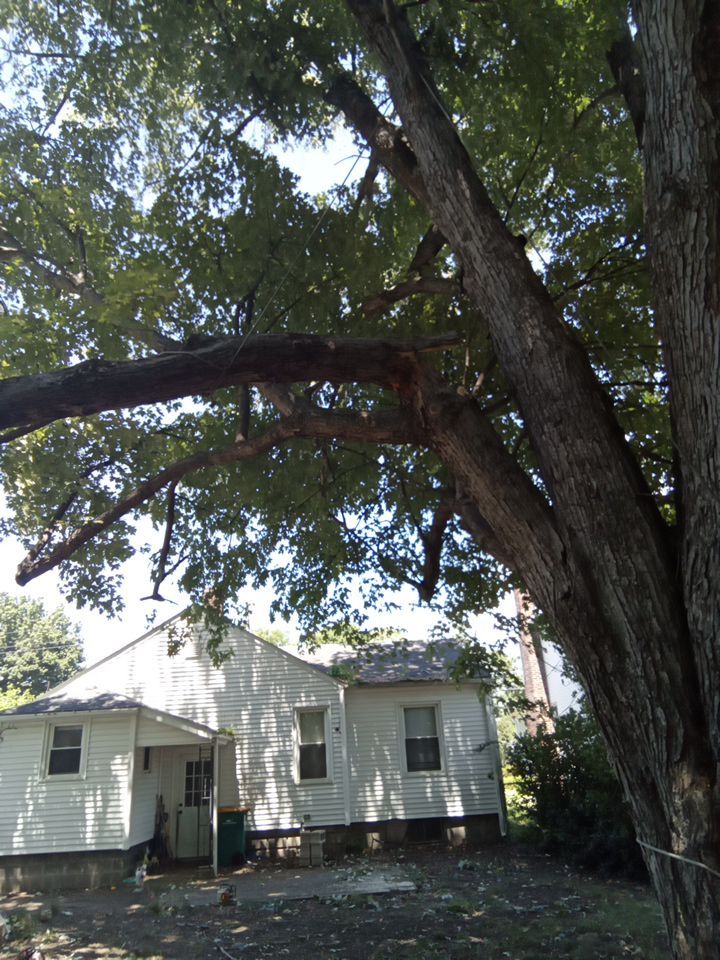 Storm Damaged Tree Removal  using Tree Removal by Mike Jones & Sons Tree Service LLC 