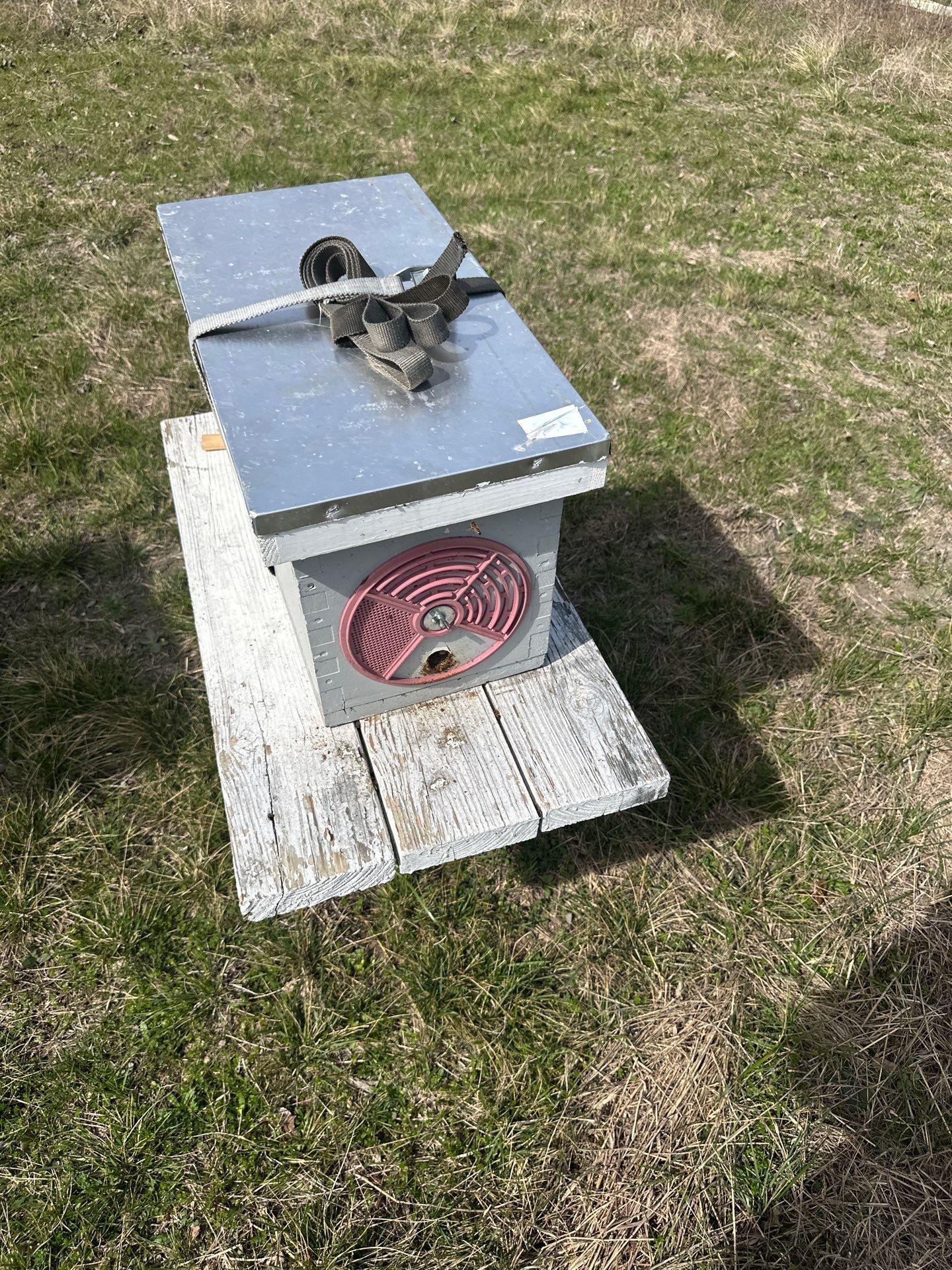 Bees for Ag. Exemption in Heath by Rockwall Honey Bee Company