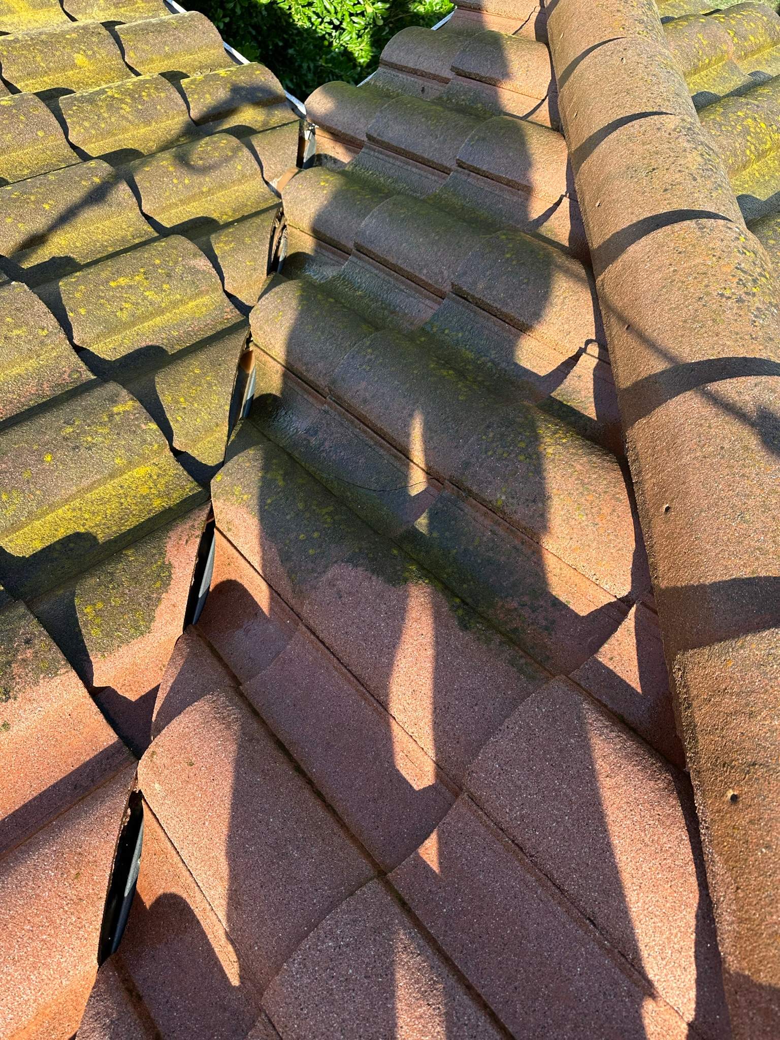 Roof wash on this dirty roof covered in algae by Property Cleaning Experts, LLC