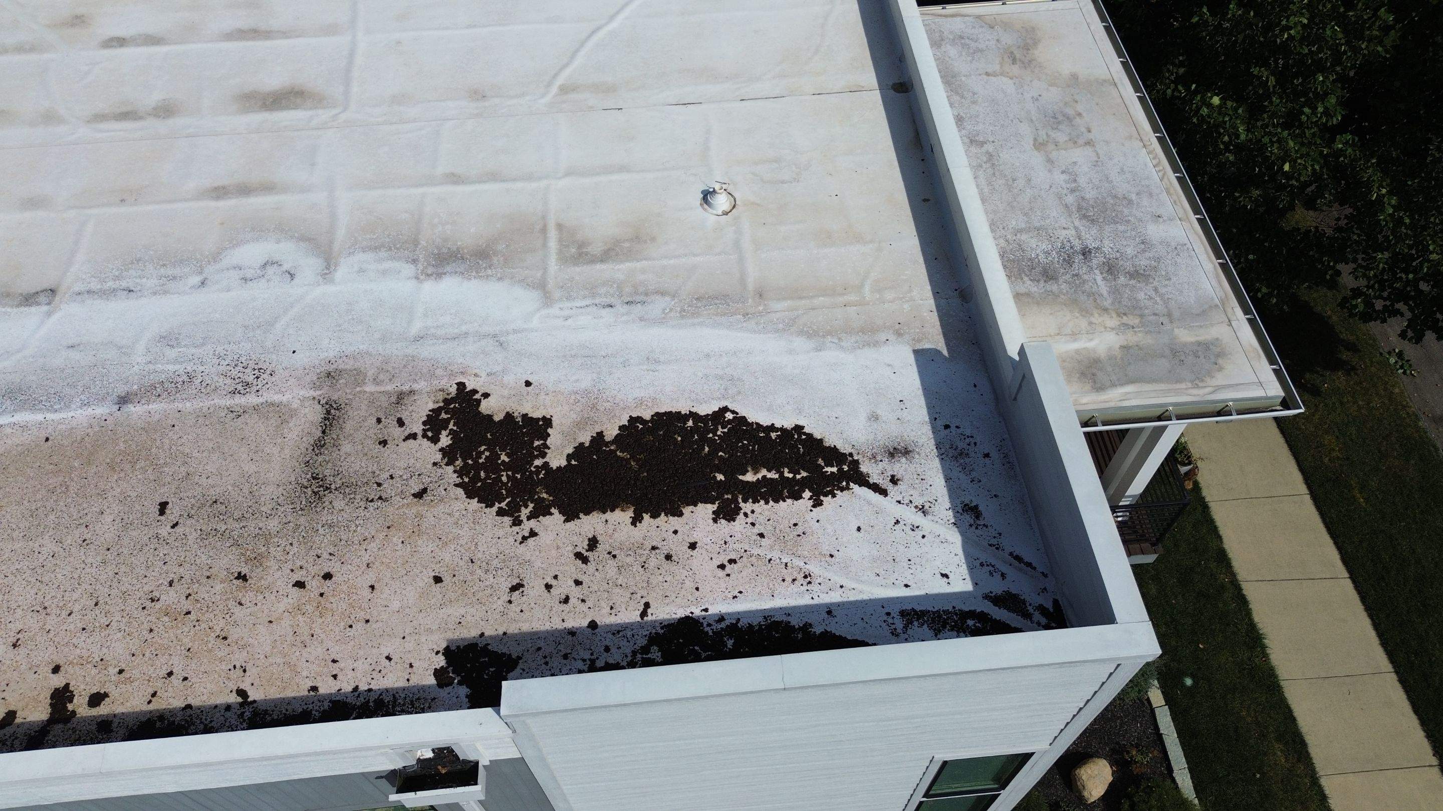 2610 Broadway St • Indianapolis, IN 46205 by 317 Roofing & Restorations