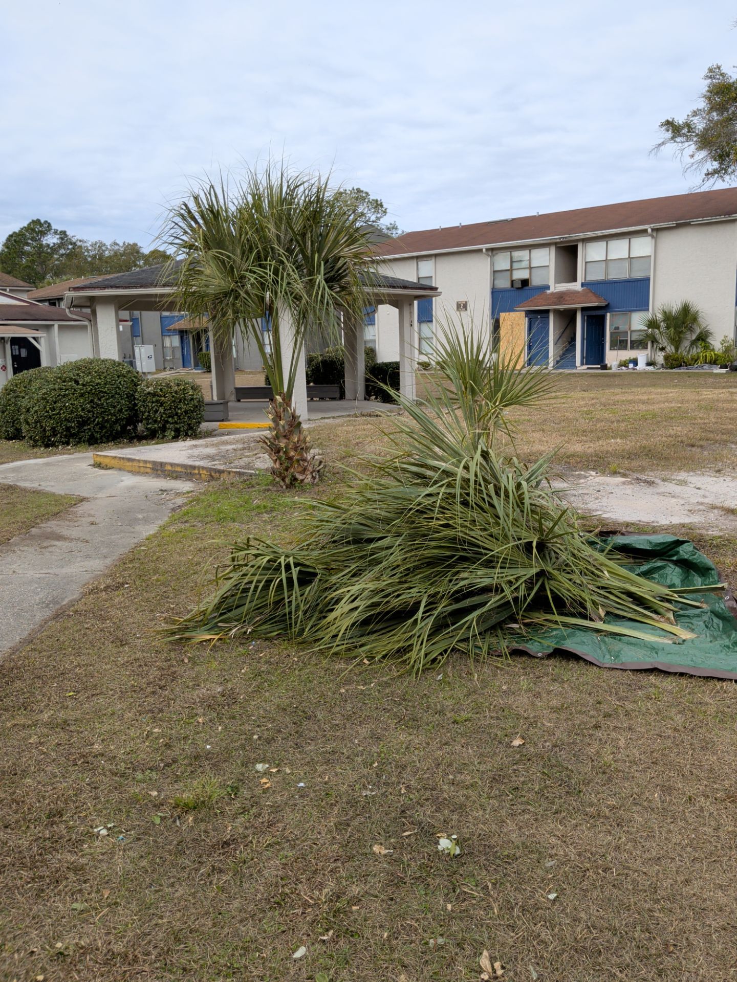 Commercial Landscape Cleanup & Weekly Maintenance — Grassy Pond Apartments by Harmoni Home Services
