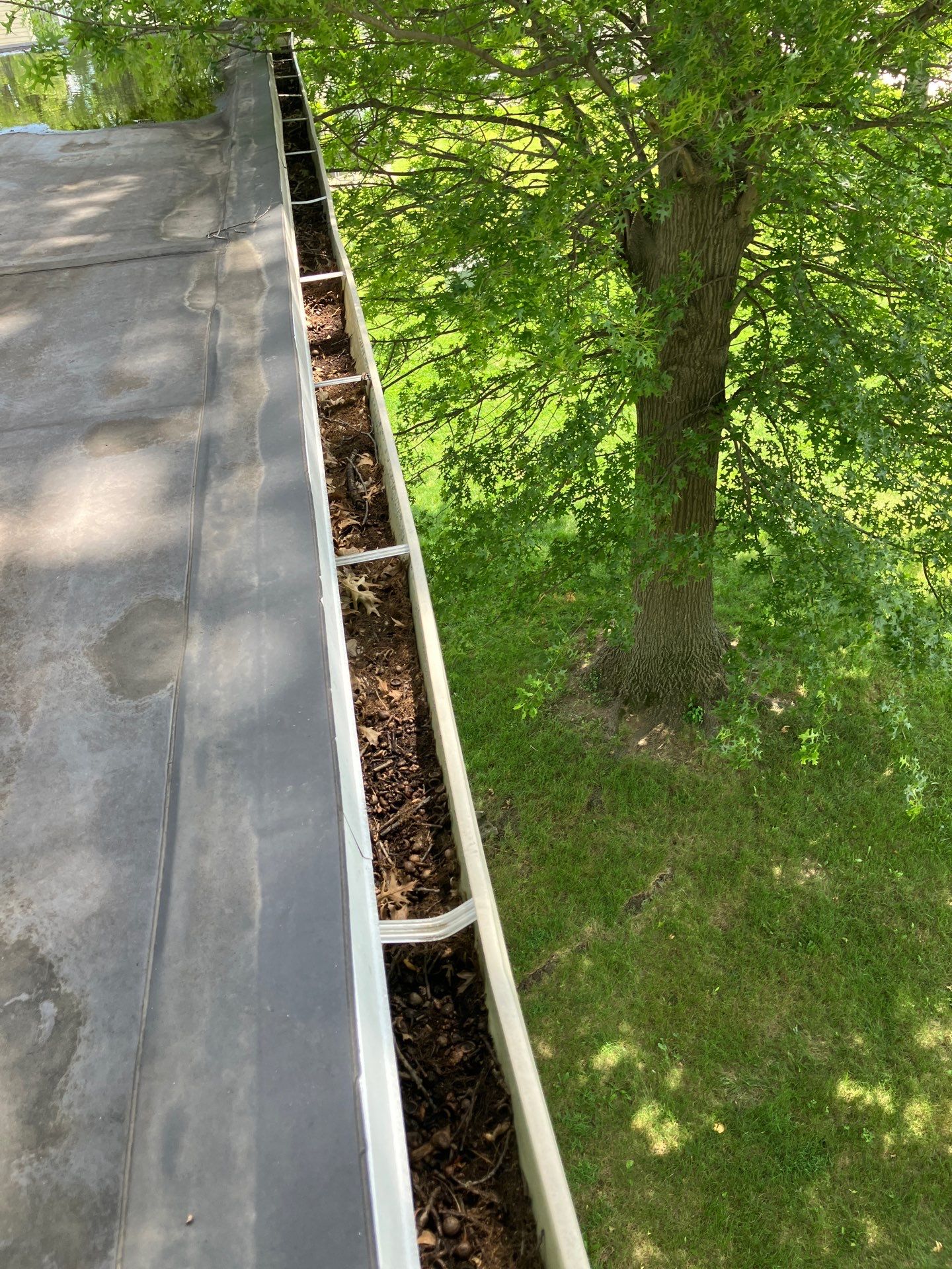Commercial gutter cleaning Terre Haute, IN before photo with filled gutters