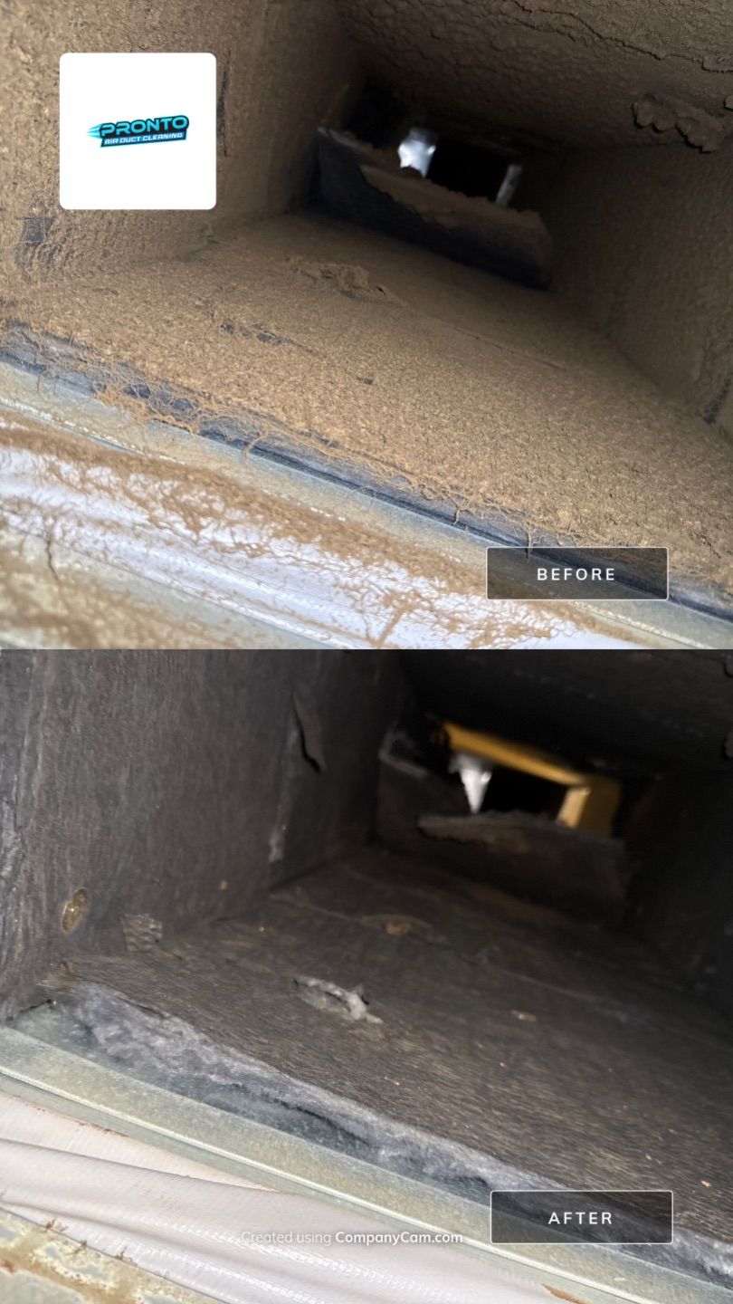 Air Duct Cleaning Manassas VA by Pronto Air Duct Cleaning