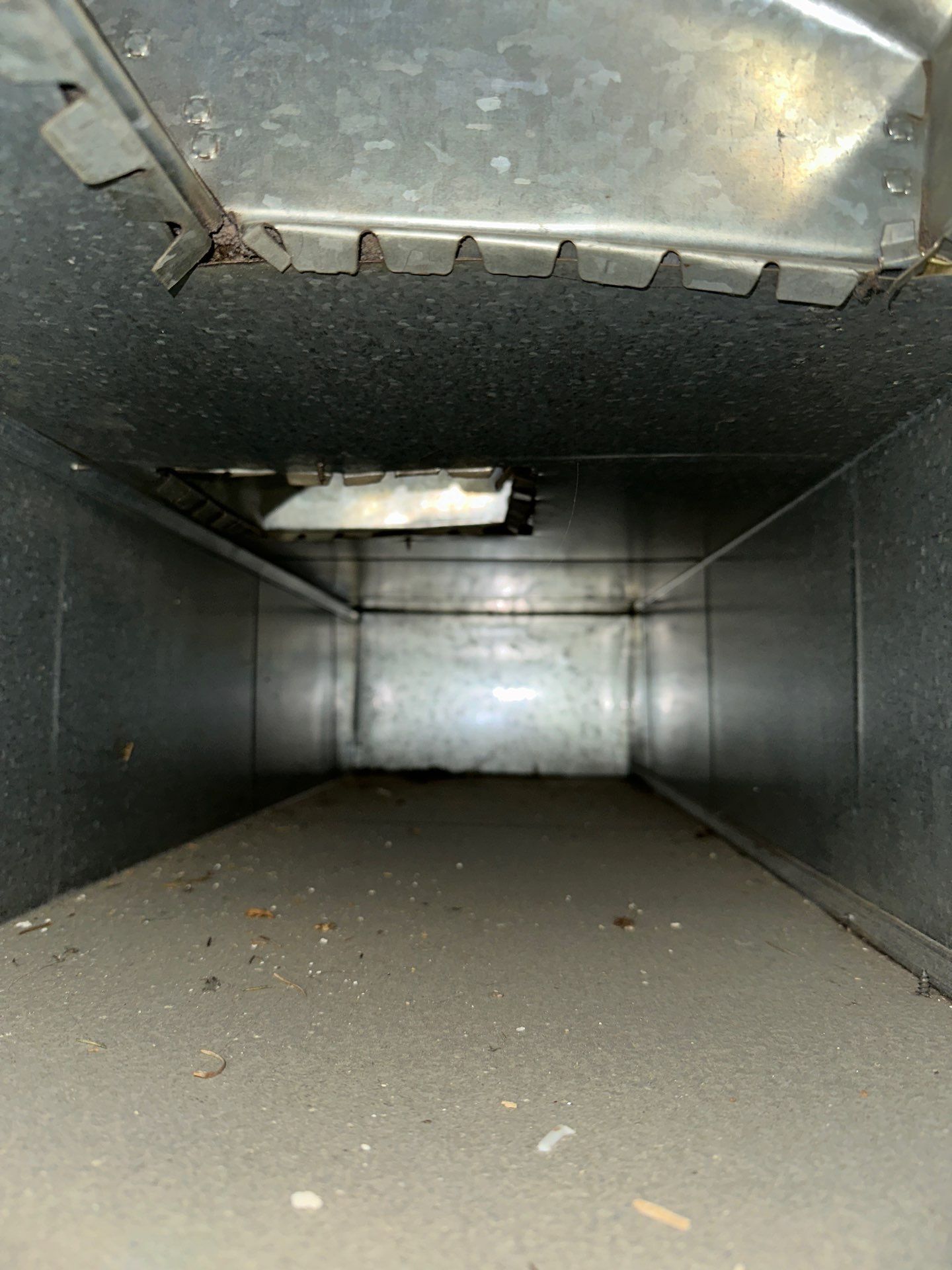 Air Duct Cleaning w/Duct Sanitizing by Pronto Air Duct Cleaning