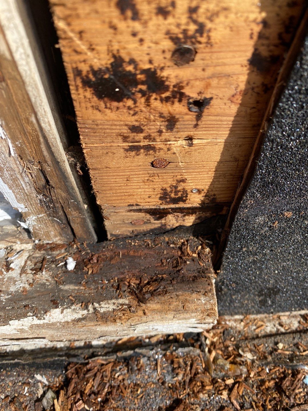 Siding Repair using Wood Siding by A Plus Exterior