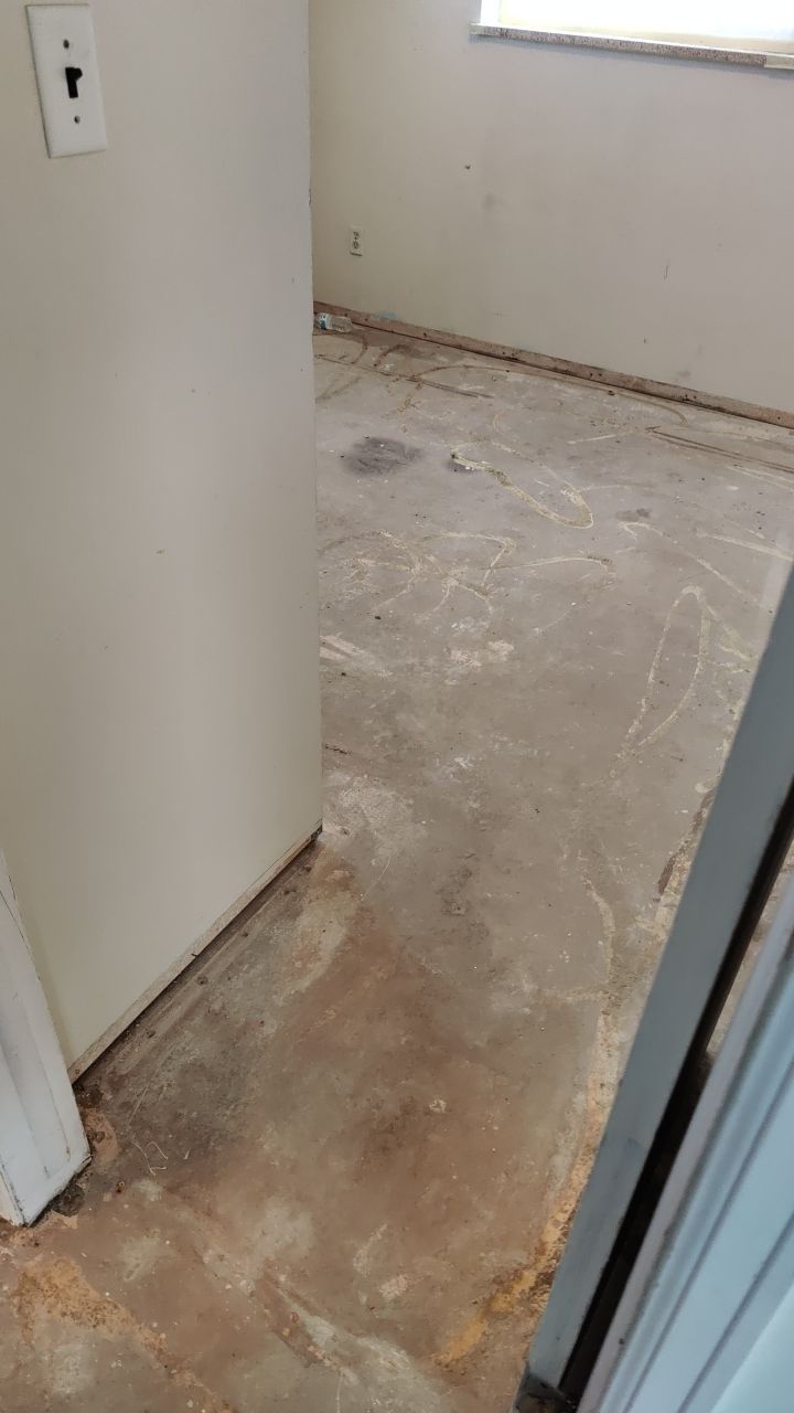 Mold Remediation by Accountable Home Services