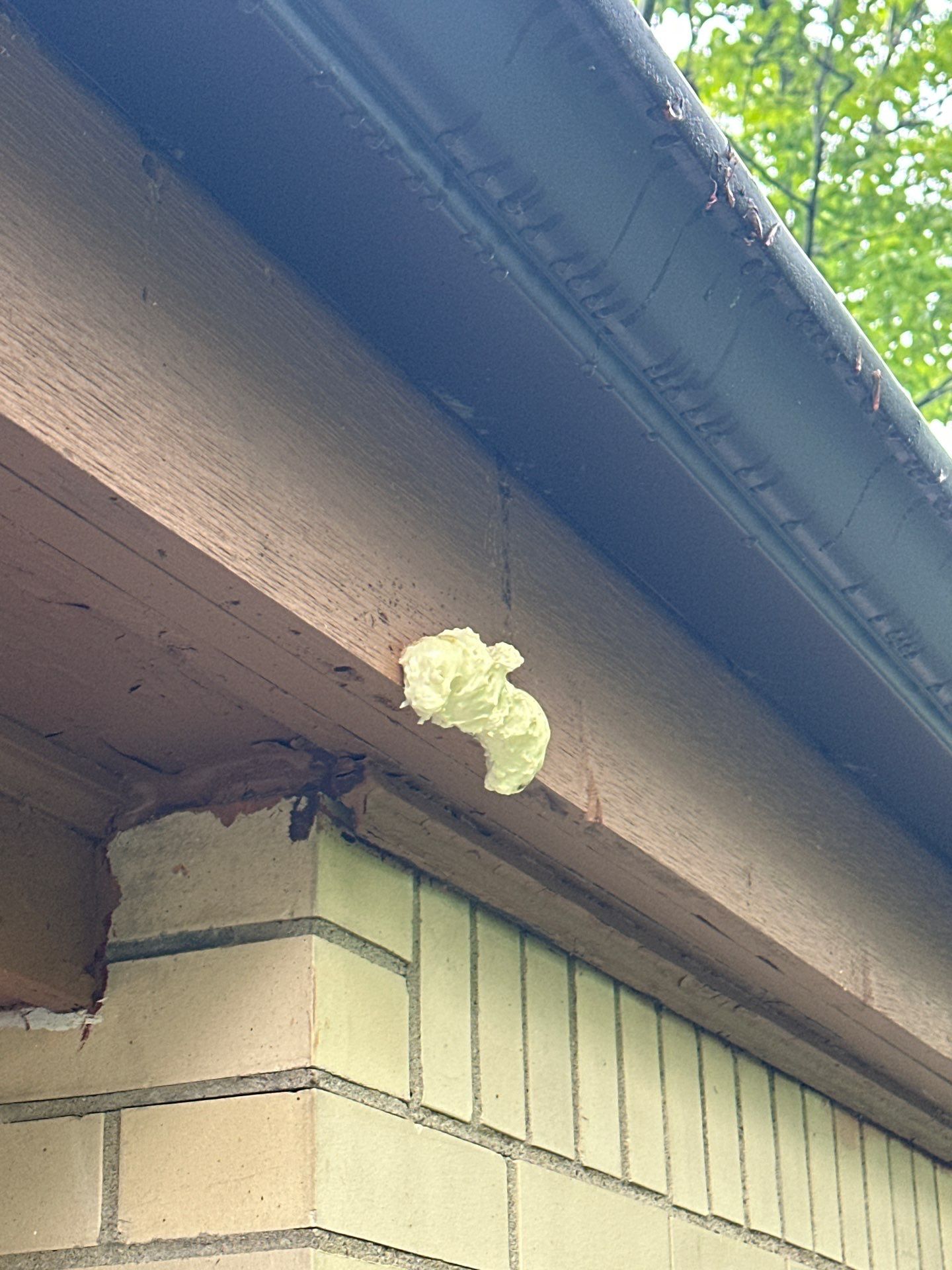 Hardie siding  by Cousins Roofing Siding & Decks