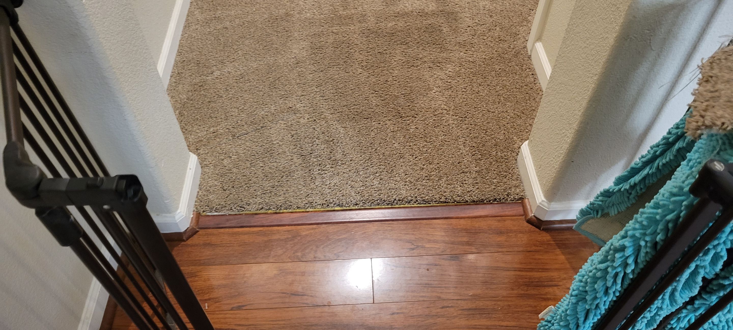 Repairing Carpet Chewed by a Dog by Ardent Carpet Restore LLC