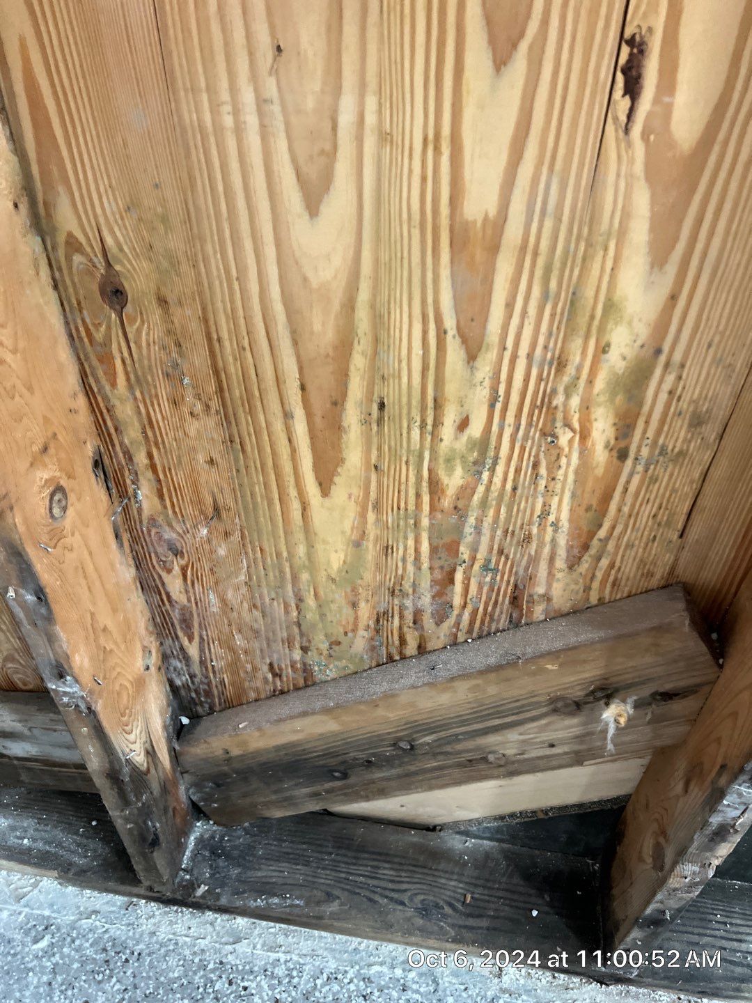 Flood Damage Mitigation In Anna Maria by Ampm Restoration Services