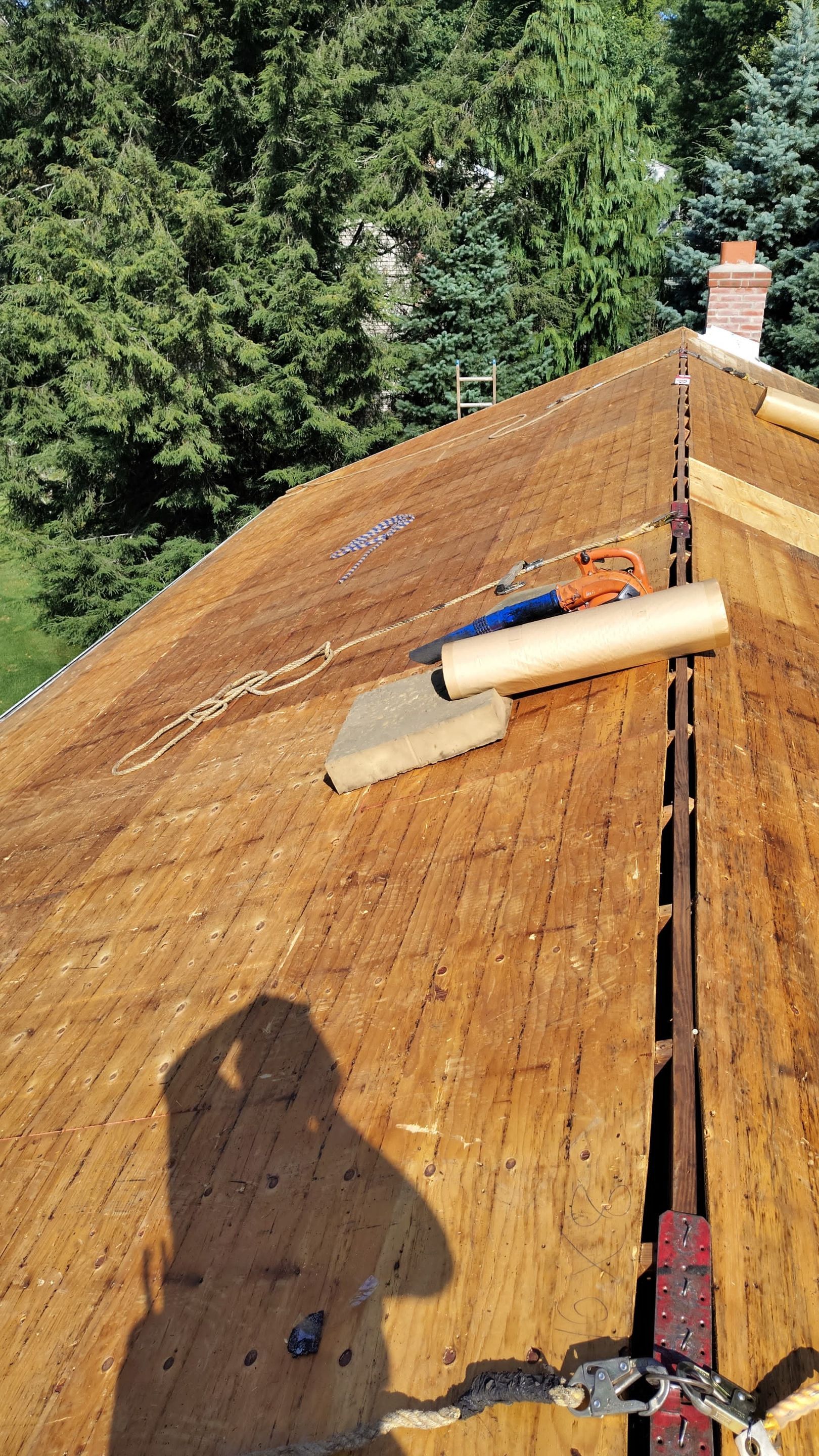 Transformation Roofing by DiGiorgi by DiGiorgi Roofing and Siding Inc
