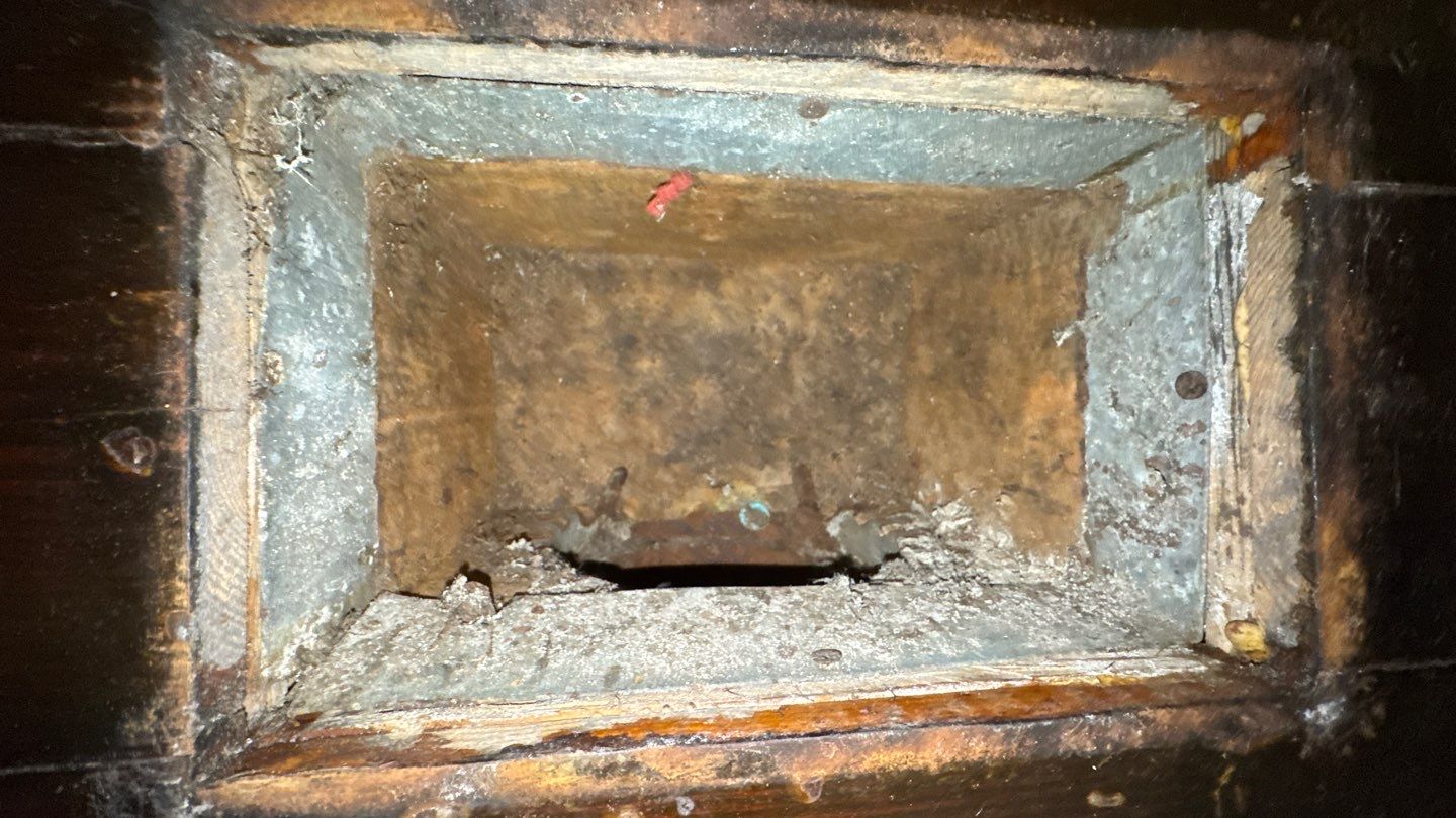 Extremely Dirty Air Duct Cleaning in Fruitland Park by Hygienic Air, Inc