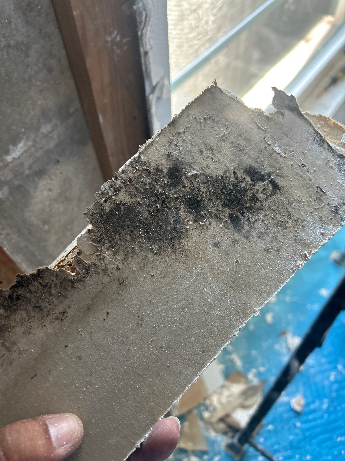 Commercial Water Damage Restoration by Ampm Restoration Services