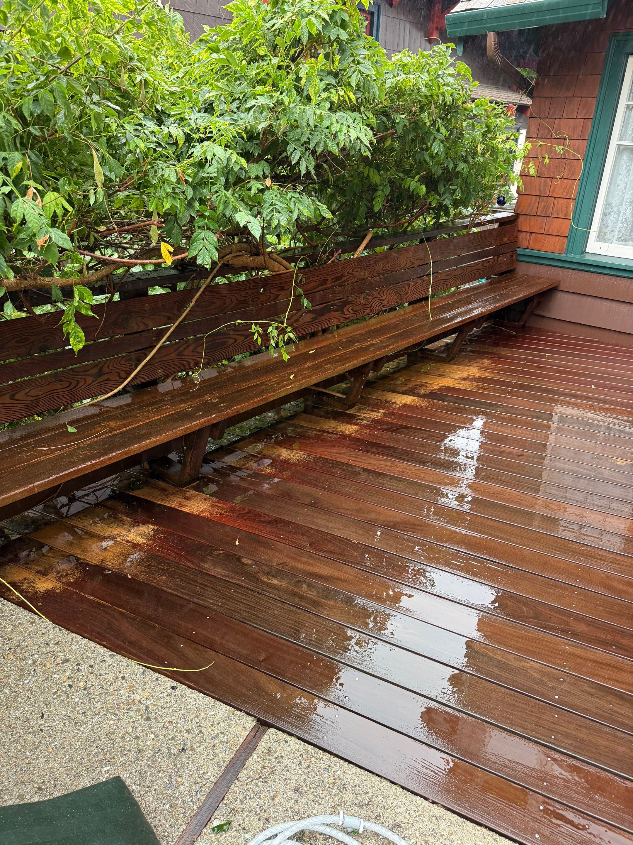 Full back garden refresh by SpotFree Window Cleaning