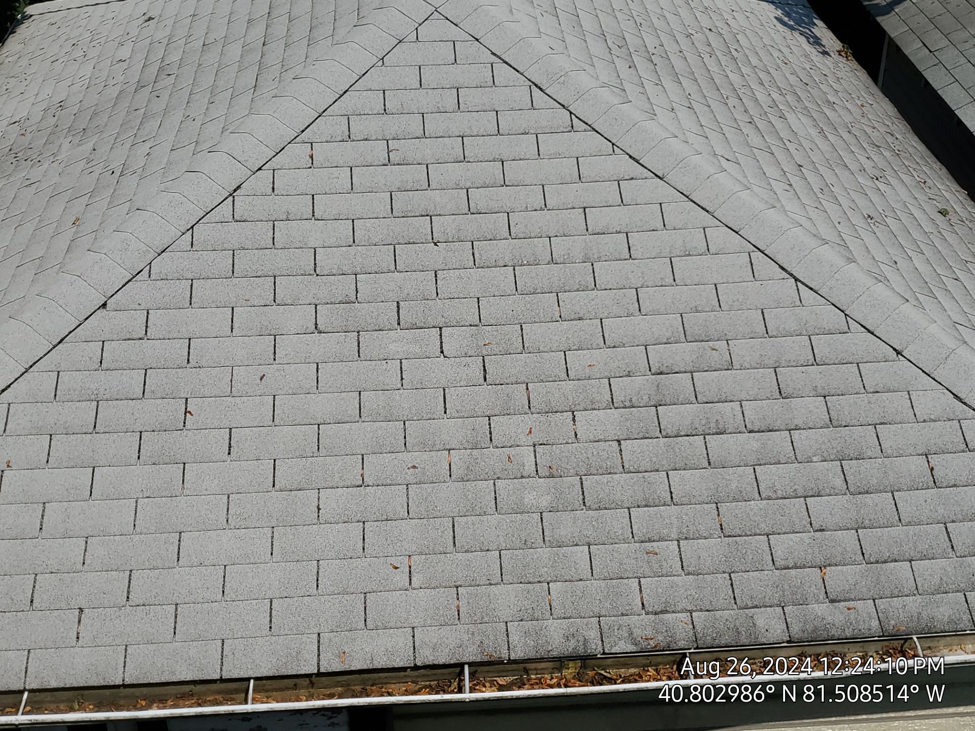 Jay Johnson by Silver Leaf Contracting 