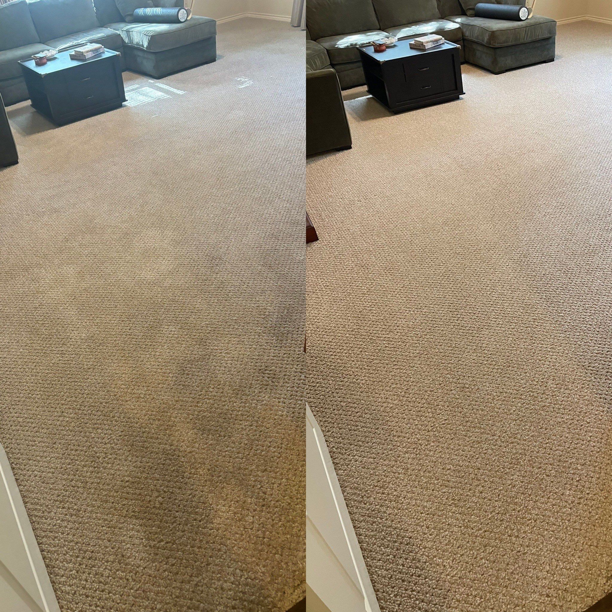 the service being done is deep carpet cleaning to remove stains and refresh the appearance of the living room carpet