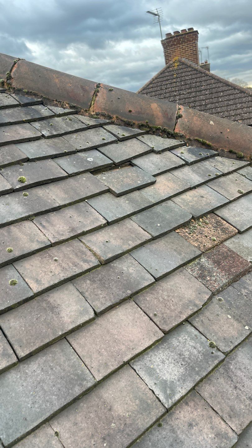 Roof Scraping- Moss Remaval - Biocide using Moss Scraper Blades by Ges Exterior Cleaning ltd
