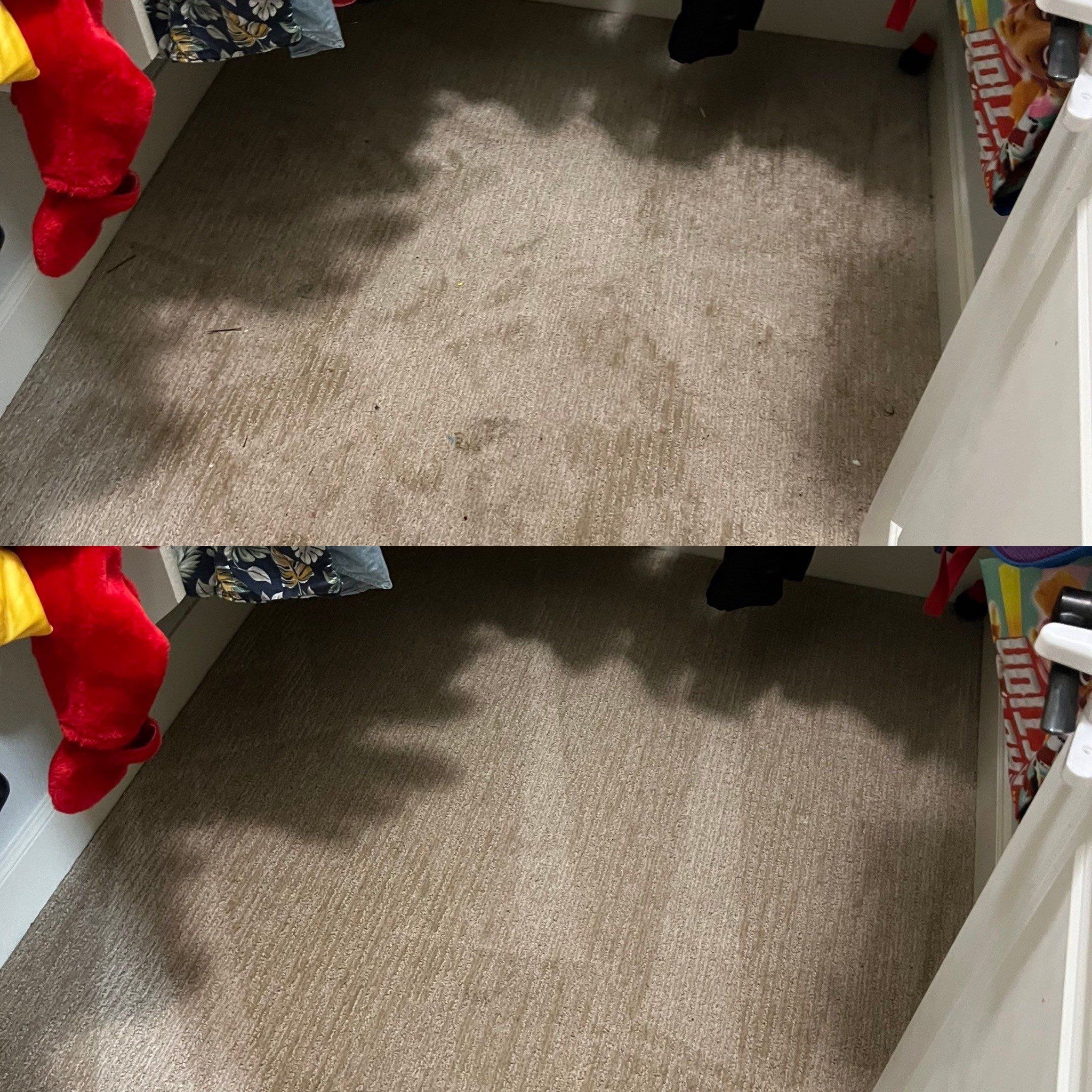 the carpet cleaning service is removing stains and dirt from the carpet in a closet area to restore its appearance