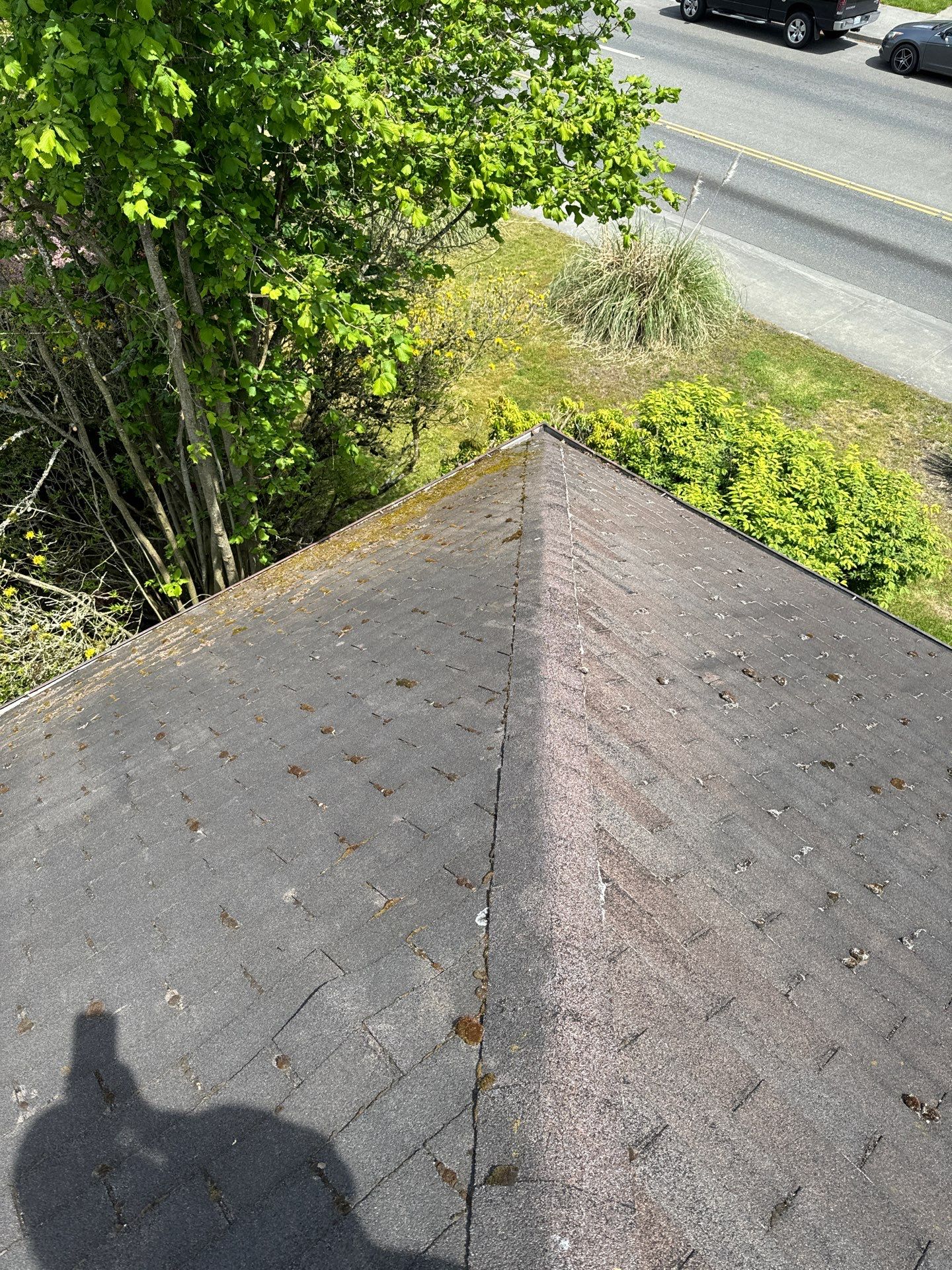 Project in Everett by Peaks and Valleys Construction