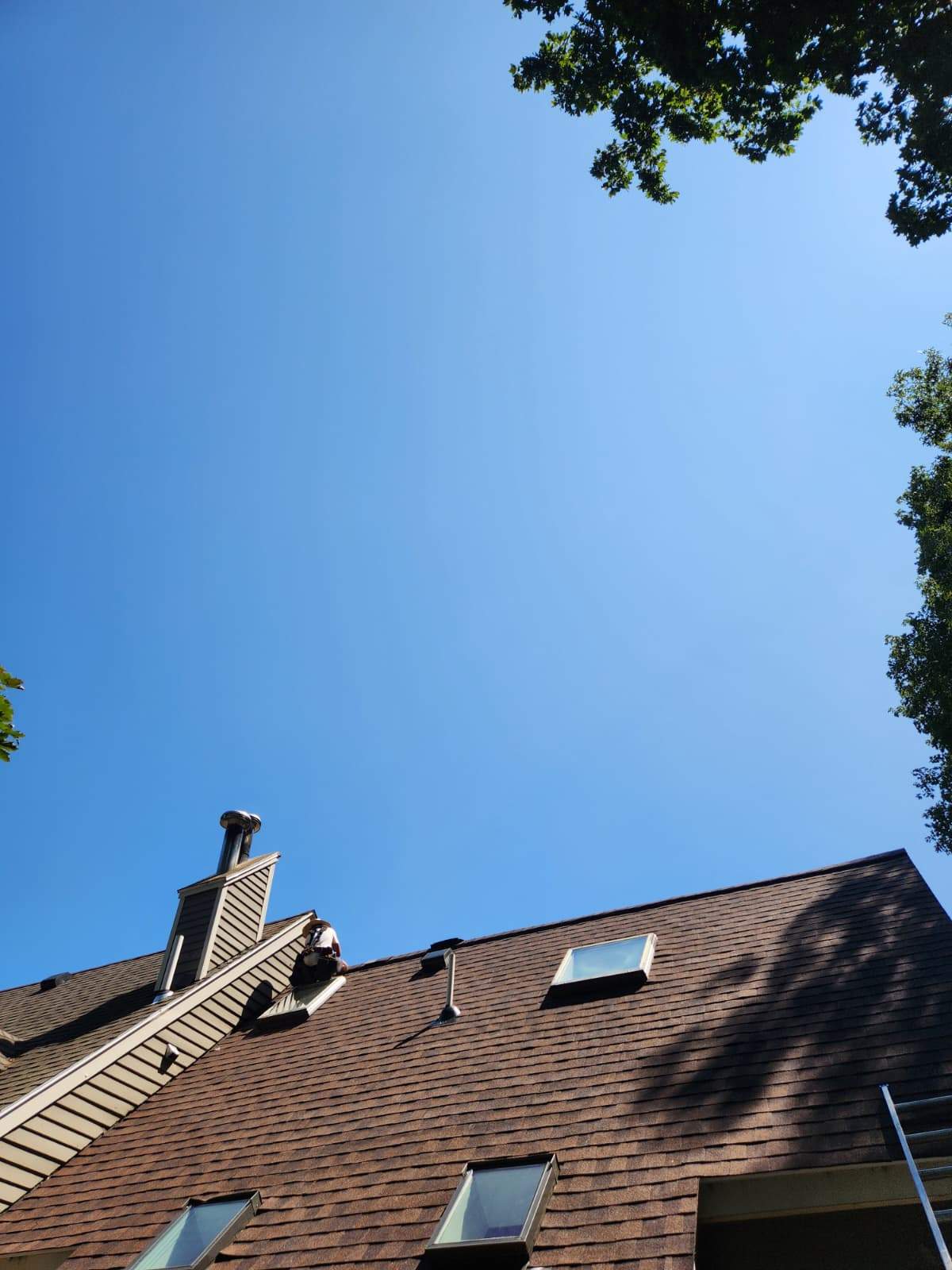 Project in Winchester by JOHNNYS PRO