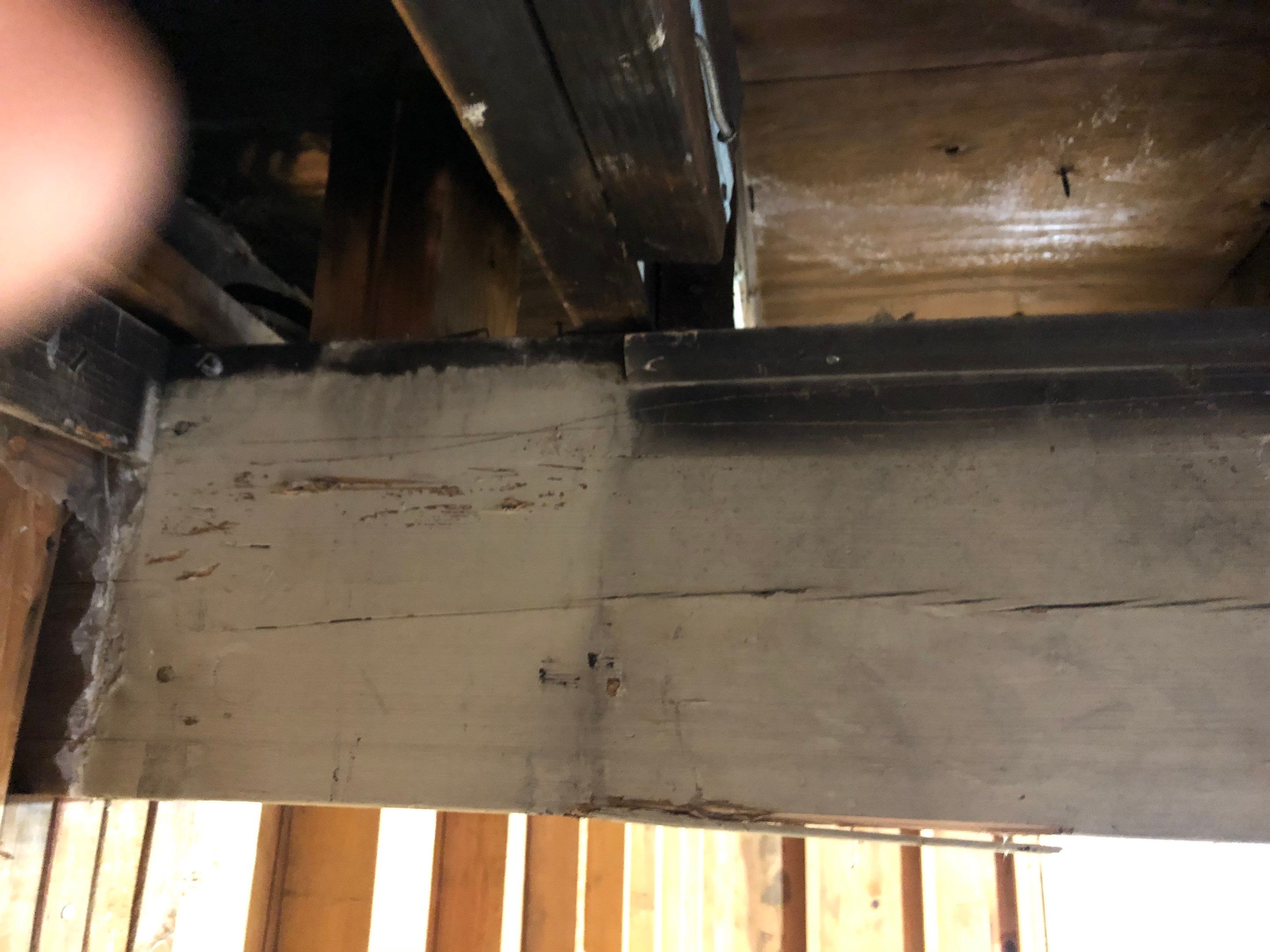 Siding Repair using Certainteed Mainstreet water intrusion by A Plus Exterior