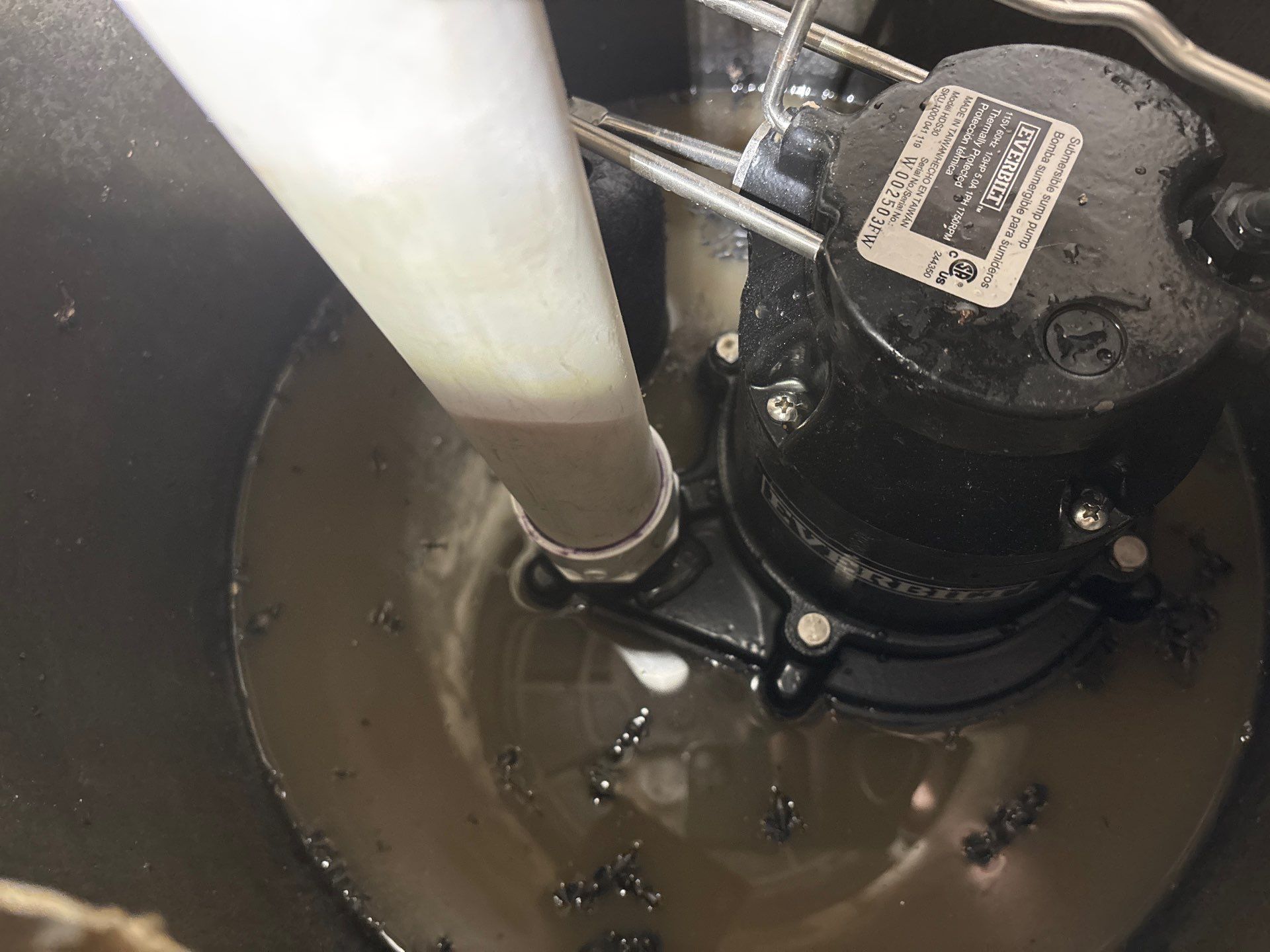 Retrofitting Drainage Board for Rachel by Waterproofing Northeast