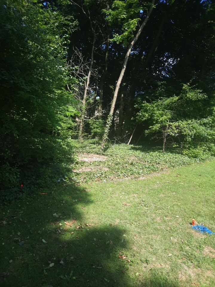 Tree Removal using Tree Removal by Mike Jones & Sons Tree Service LLC 