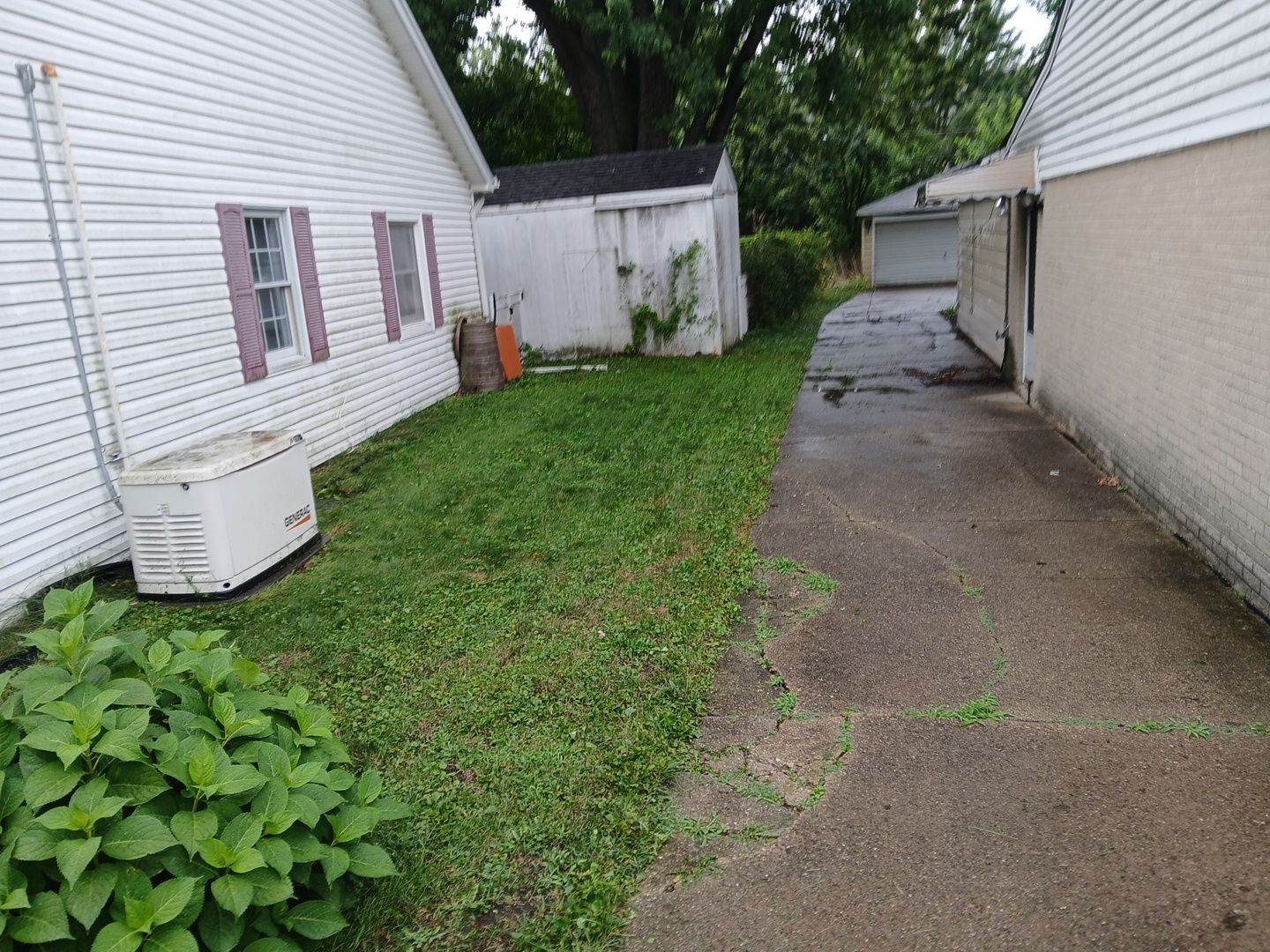 Steven L. - Park Ridge, IL by A&N