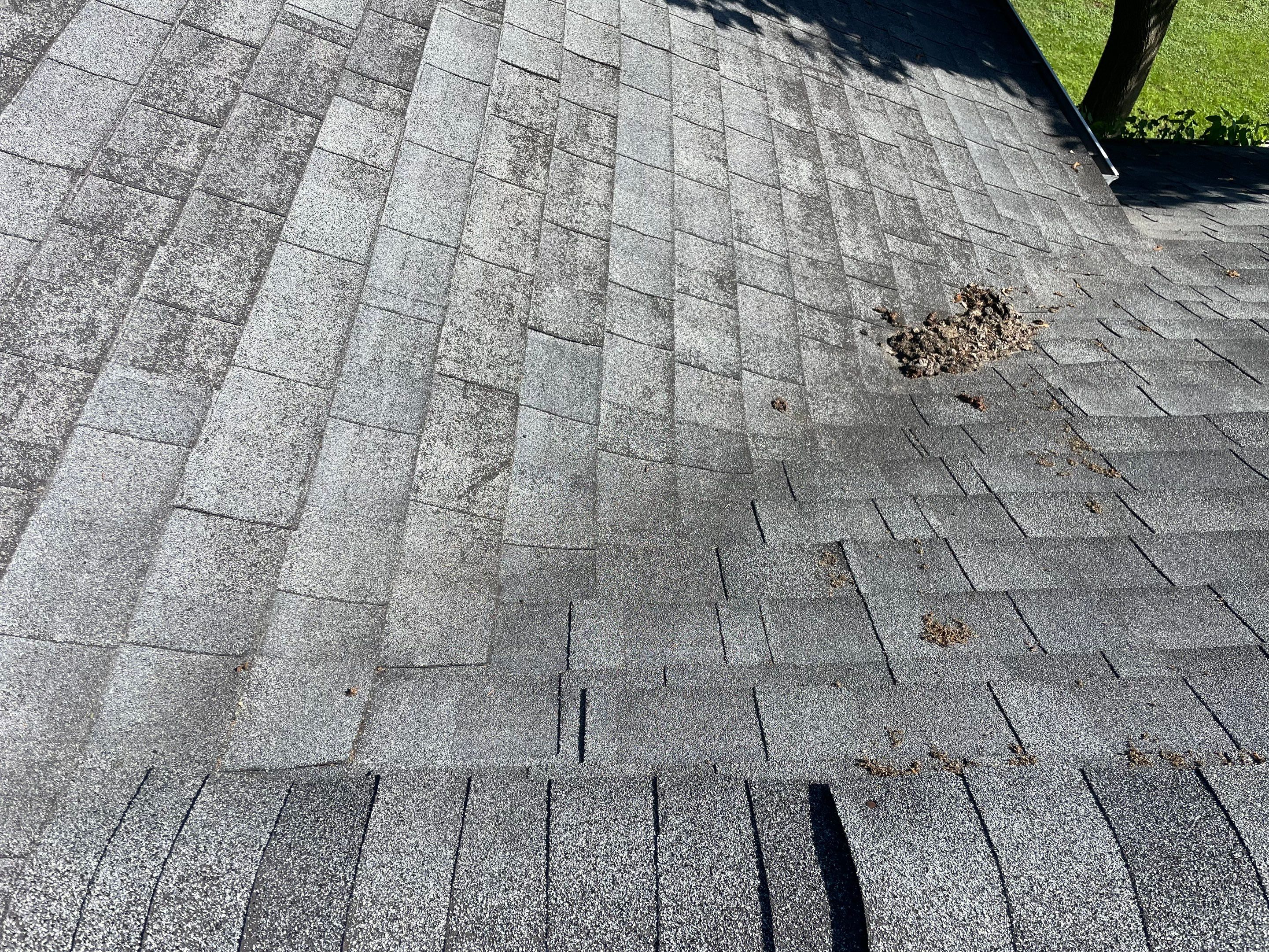 Another Roof Another Satisfied Customer!  by 42 North Construction, LLC.