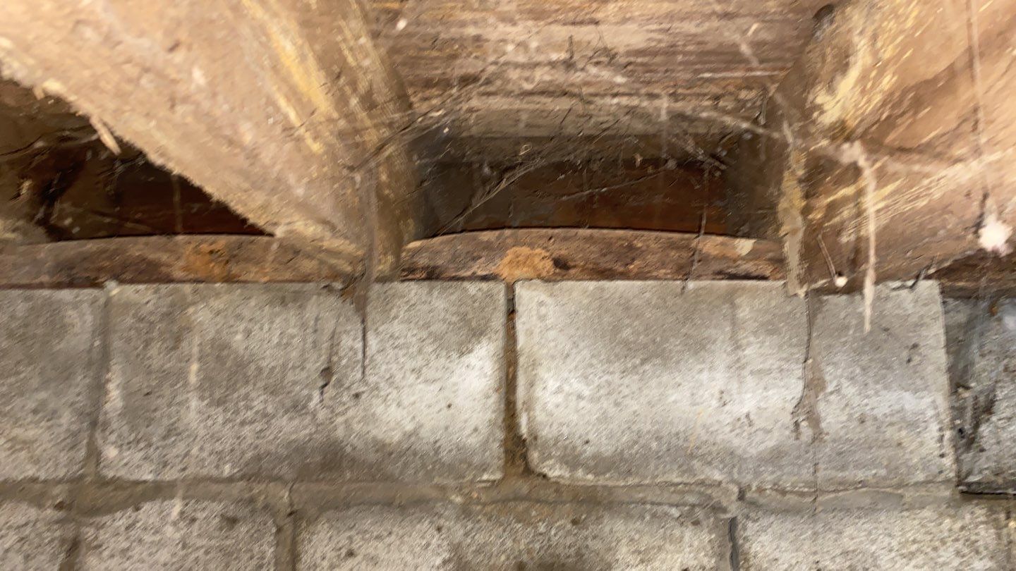 Crawl space encapsulation and Waterproofing using GrateDrain Waterproofing System by Toledo Basement Repair 