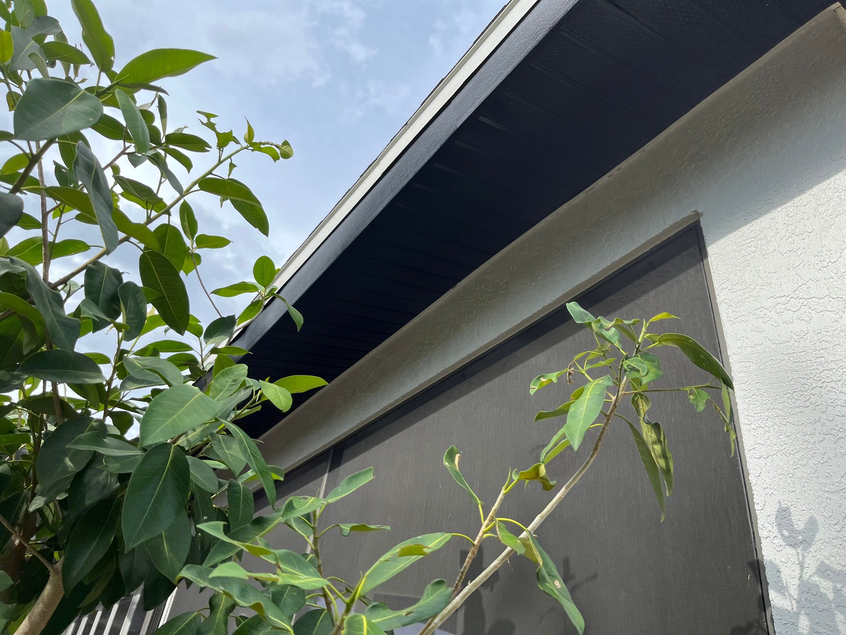New Soffit and Fascia and Gutters in North Fort Myers FL by Gutter Professors