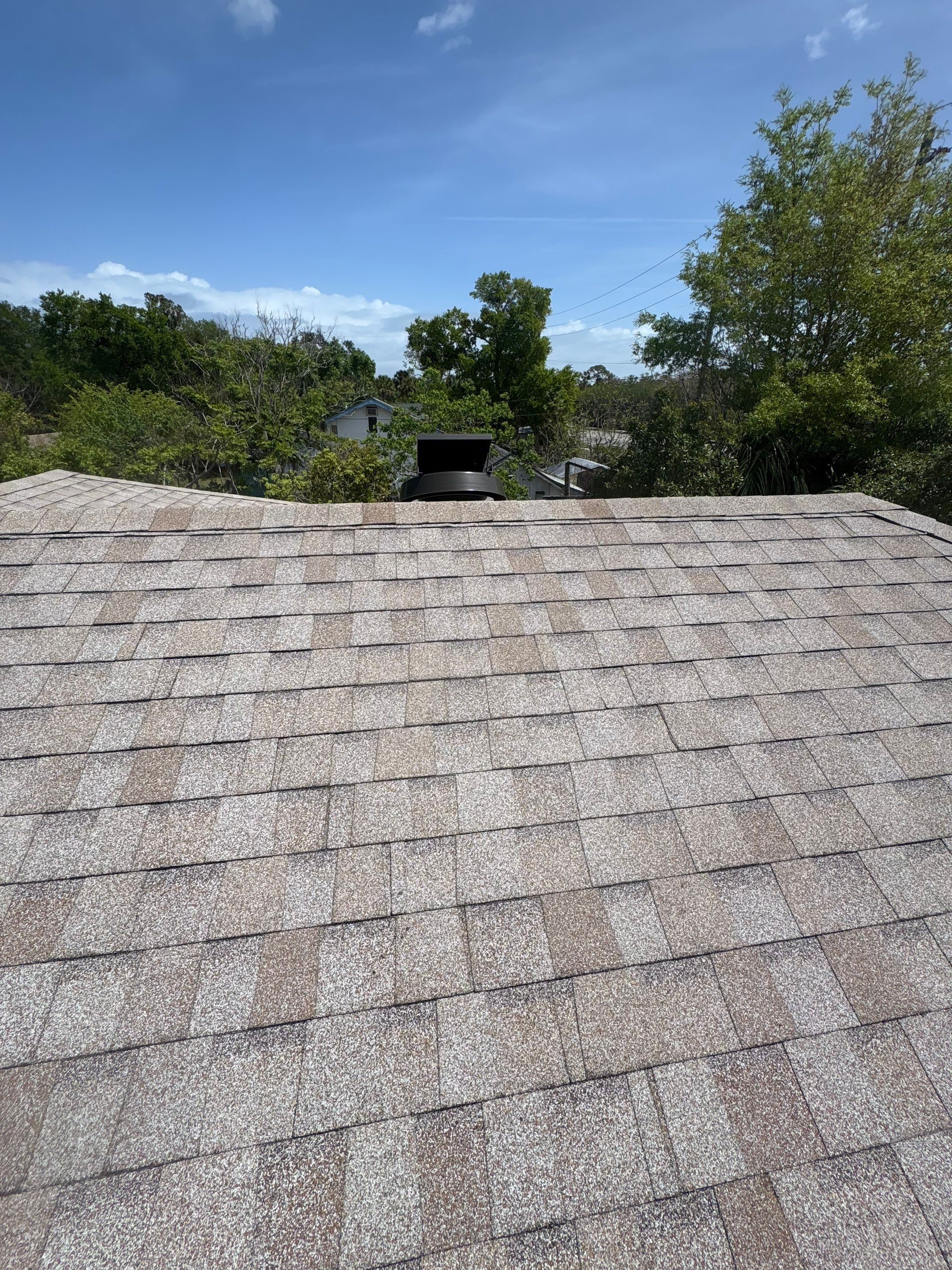 Shingle Reroof Replacement Daytona Beach FL by Pinnacle Roofing Group