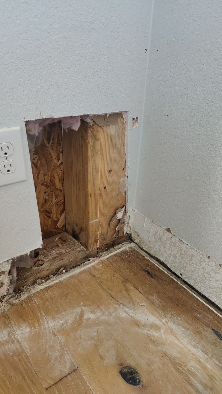 Mold Remediation  by Accountable Home Services