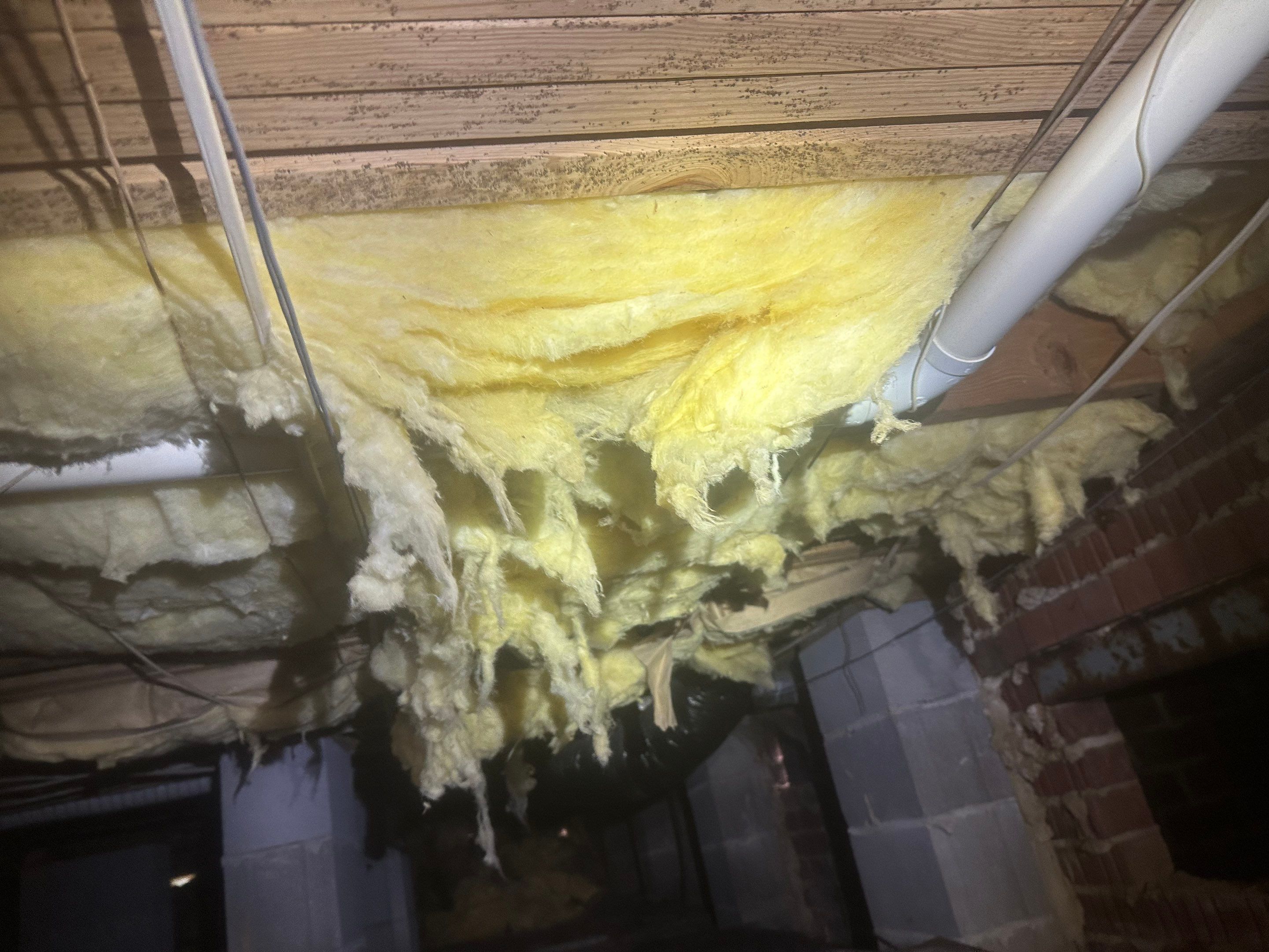 Structural Repairs and Premium Encapsulation by Impact Crawlspace