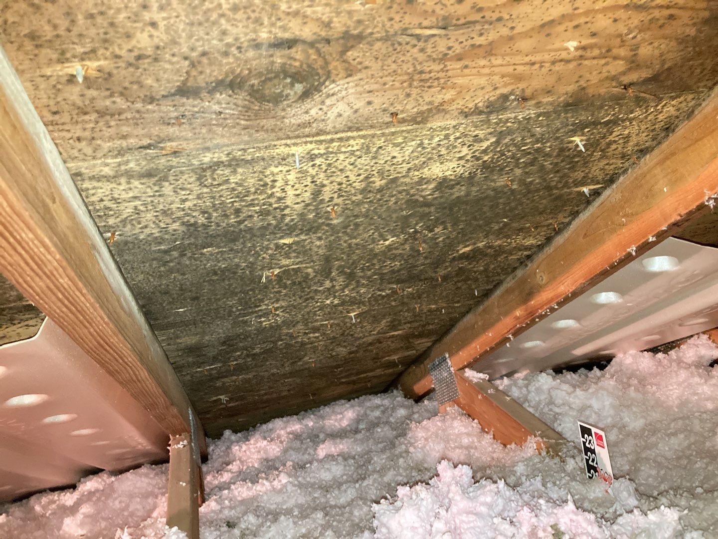 Mold Remediation in Attic by Accountable Home Services