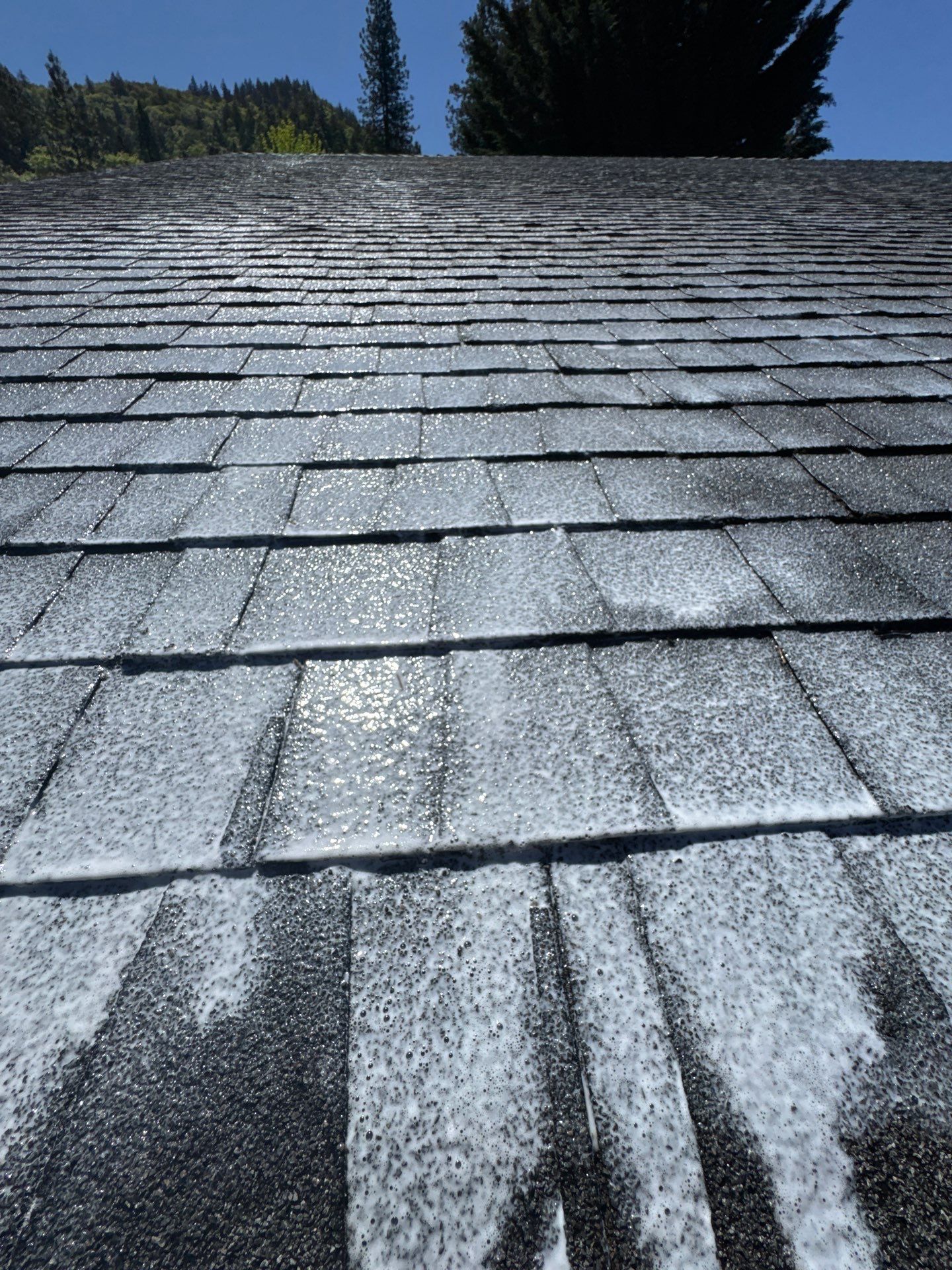 Project in Grants Pass by Roof Maxx of Grants Pass