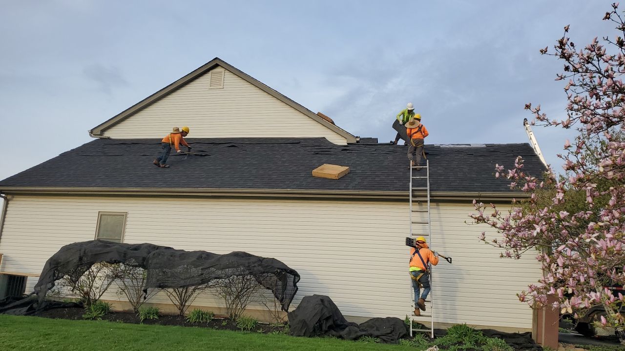 Kitchen Paint City, OH by 614 Exteriors