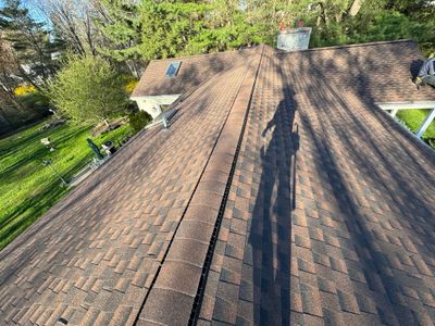 New Roof-New Look
