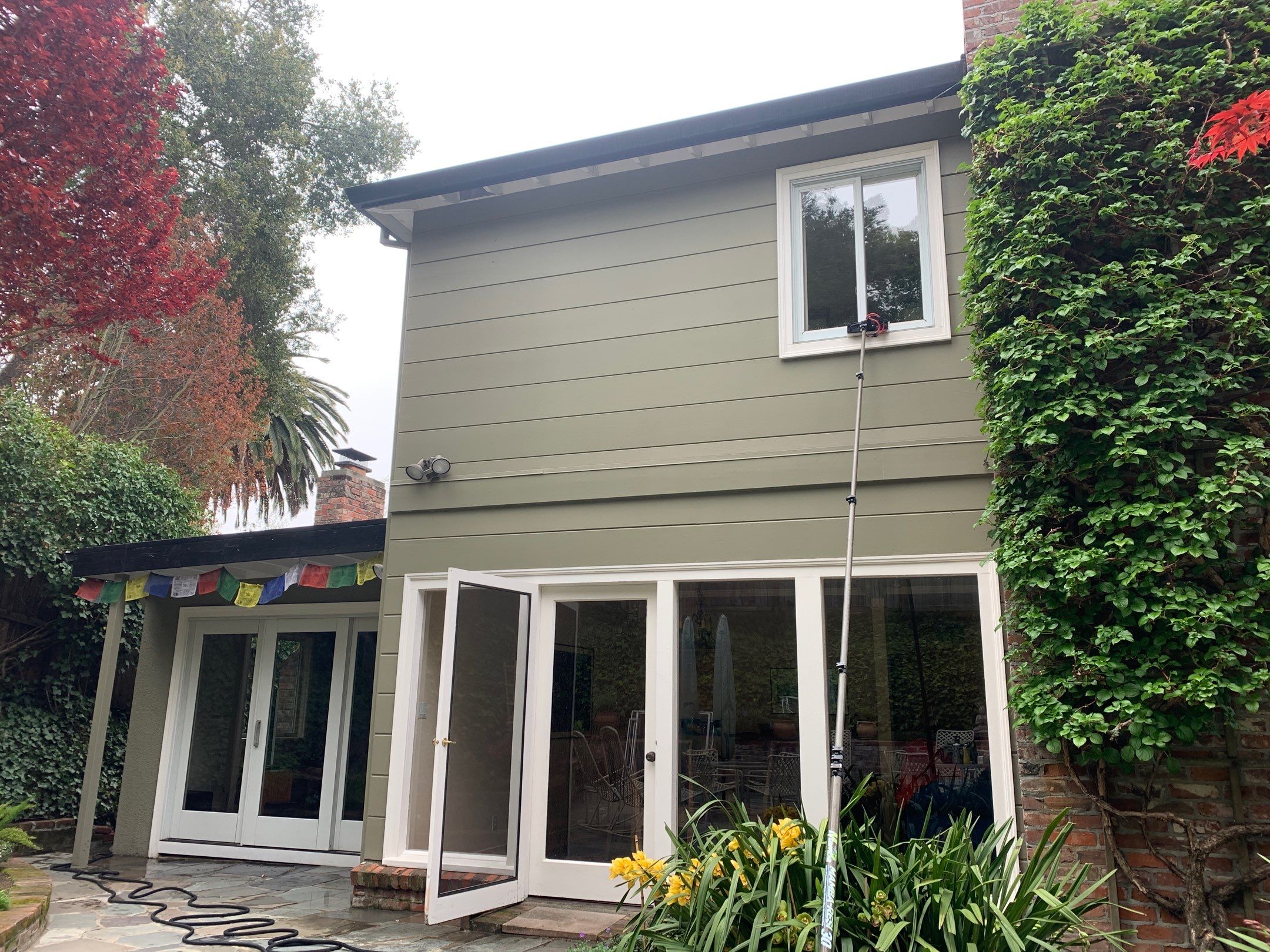 Diane Murphy by SpotFree Window Cleaning