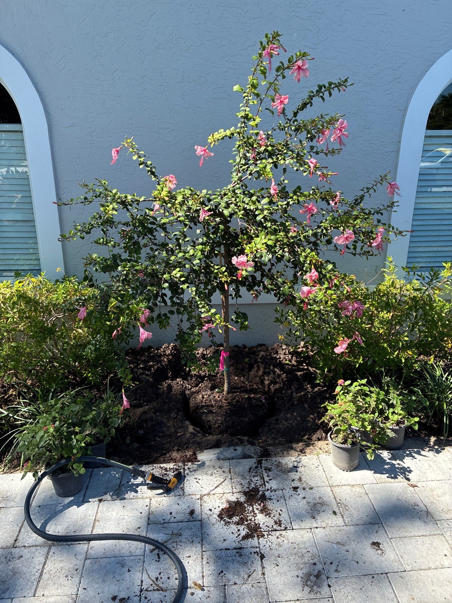 🌴 “Harbour Ridge Haven – A Tropical Revival by Alpha Zeta Landscapes” by Alpha Zeta Enterprises Inc