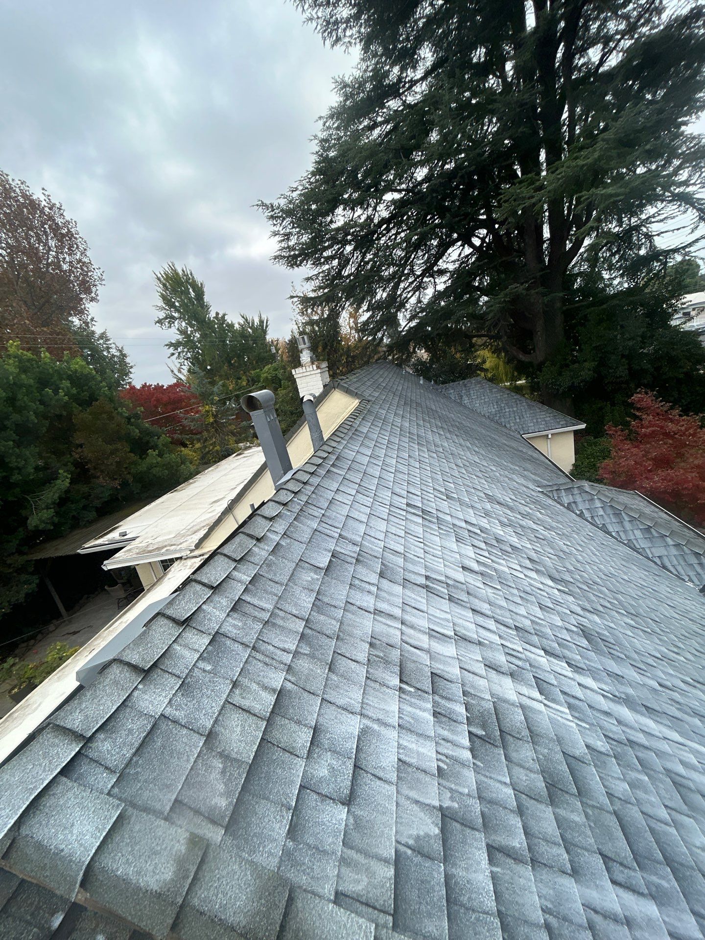 Roof Rejuvenation using Roof Maxx Treatment by Roof Maxx of Folsom