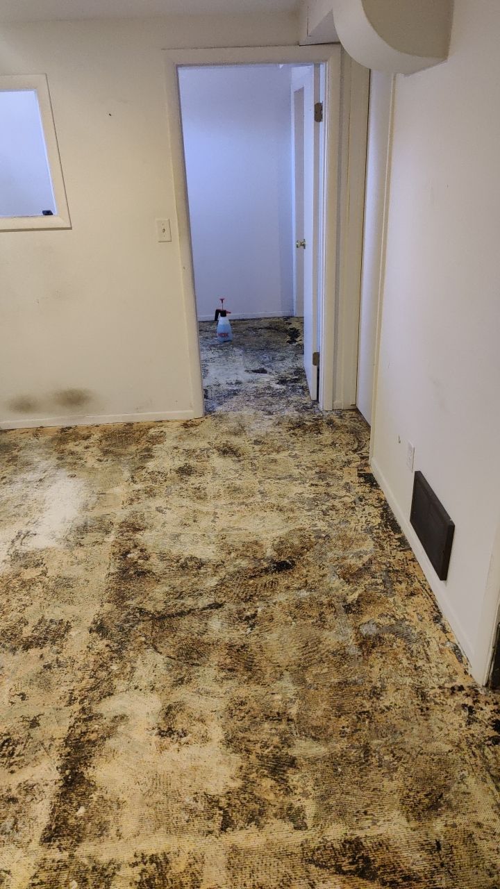 Water Damage by Accountable Home Services