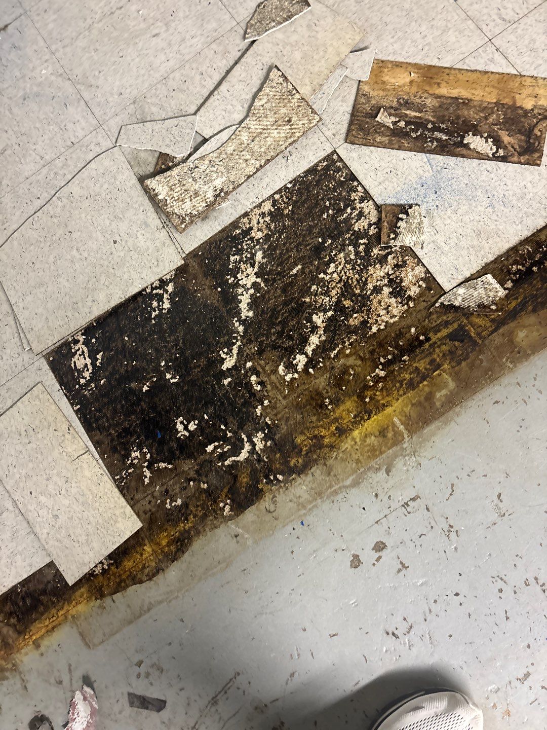 Charcoal by Granite Garage Floors