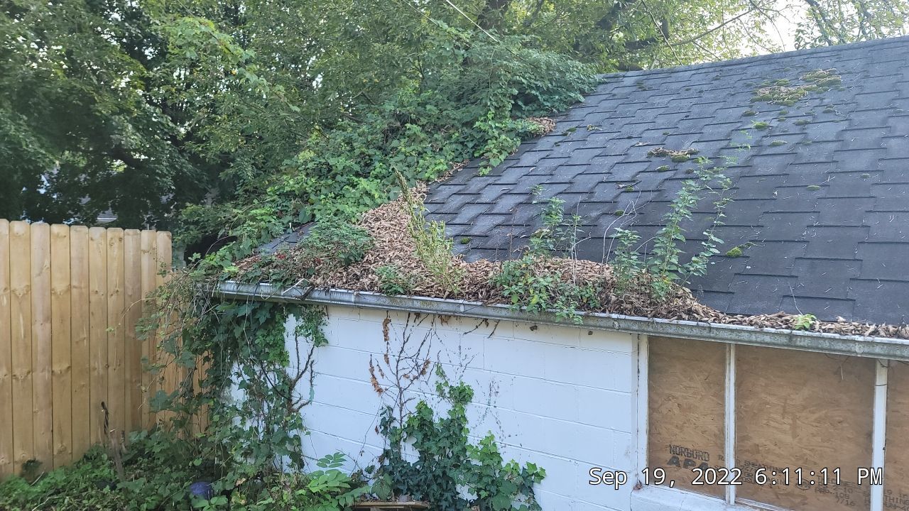 Atlas Pinnacle Color: Printine Scotchgard Black Drip Edge: Black by Eagle Eye Roofing