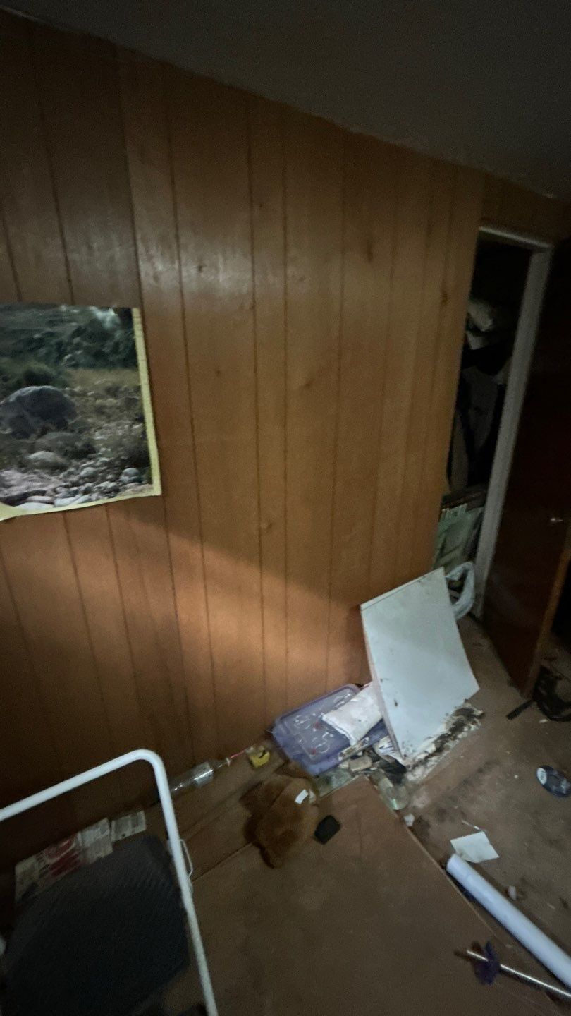 Mold Remediation by Accountable Home Services