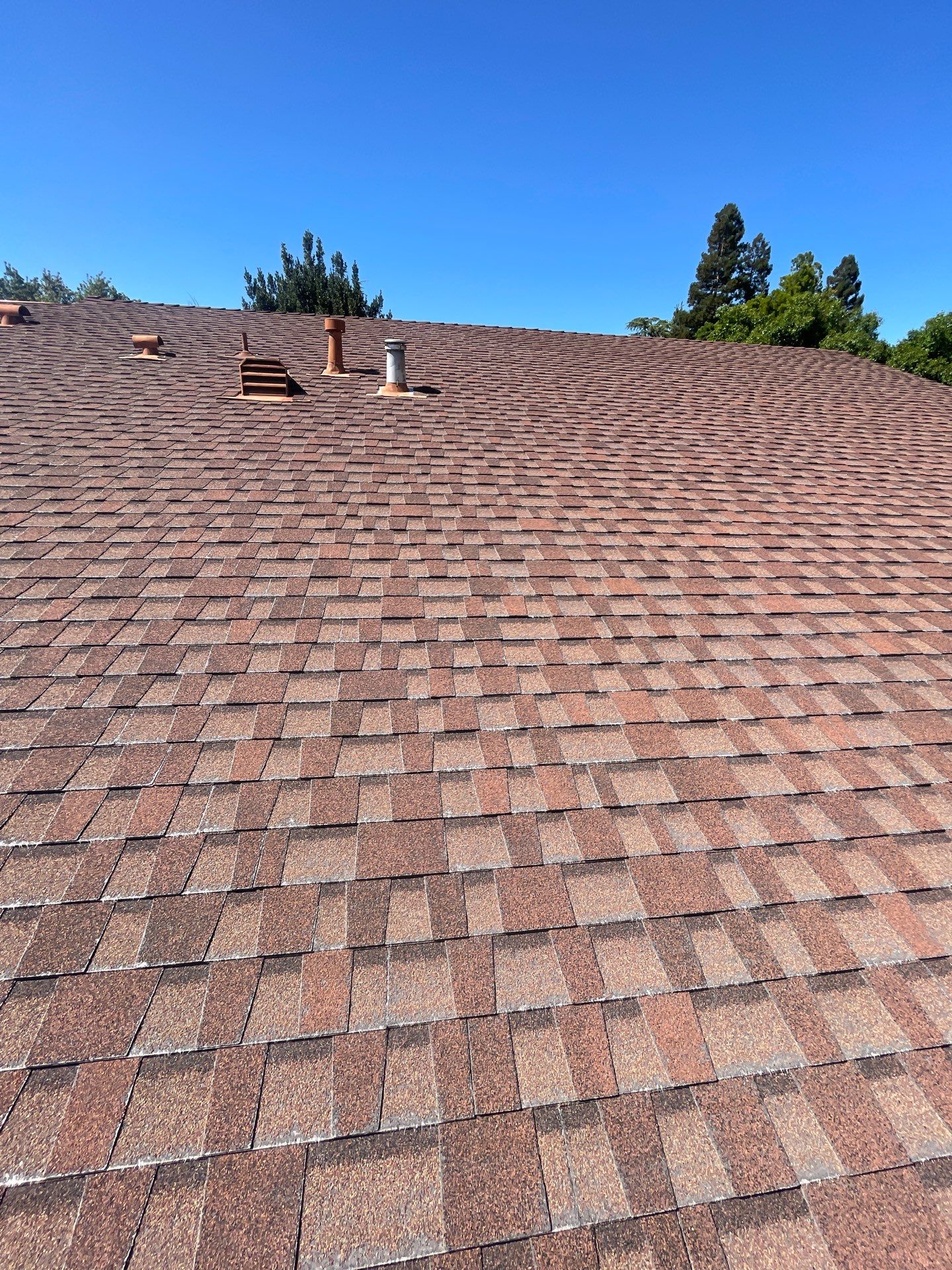 Roof Rejuvenation using Roof Maxx Treatment by Roof Maxx of Folsom