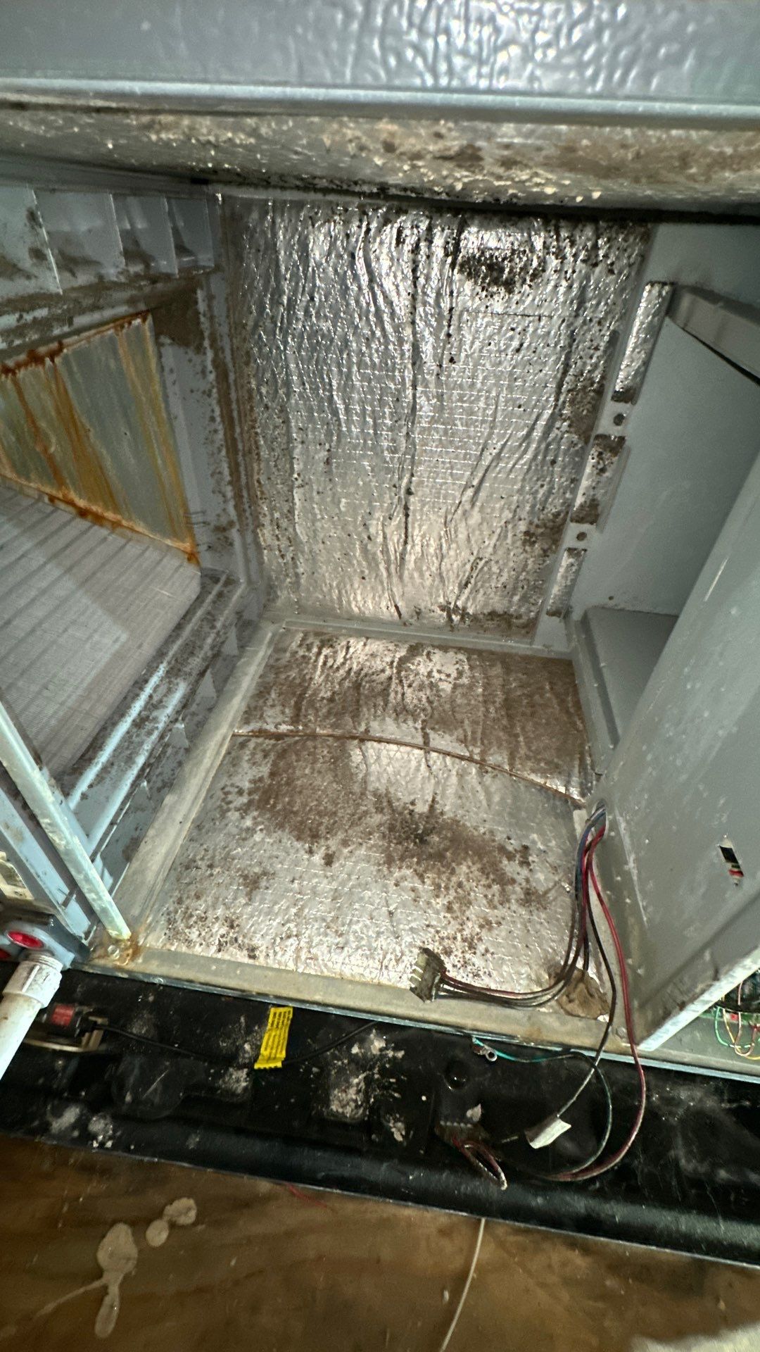 Air Duct Cleaning and Suspect Growth Removal Before and After Video/Photos Removal of mechanical component. by All Seasons Air Duct Cleaning 
