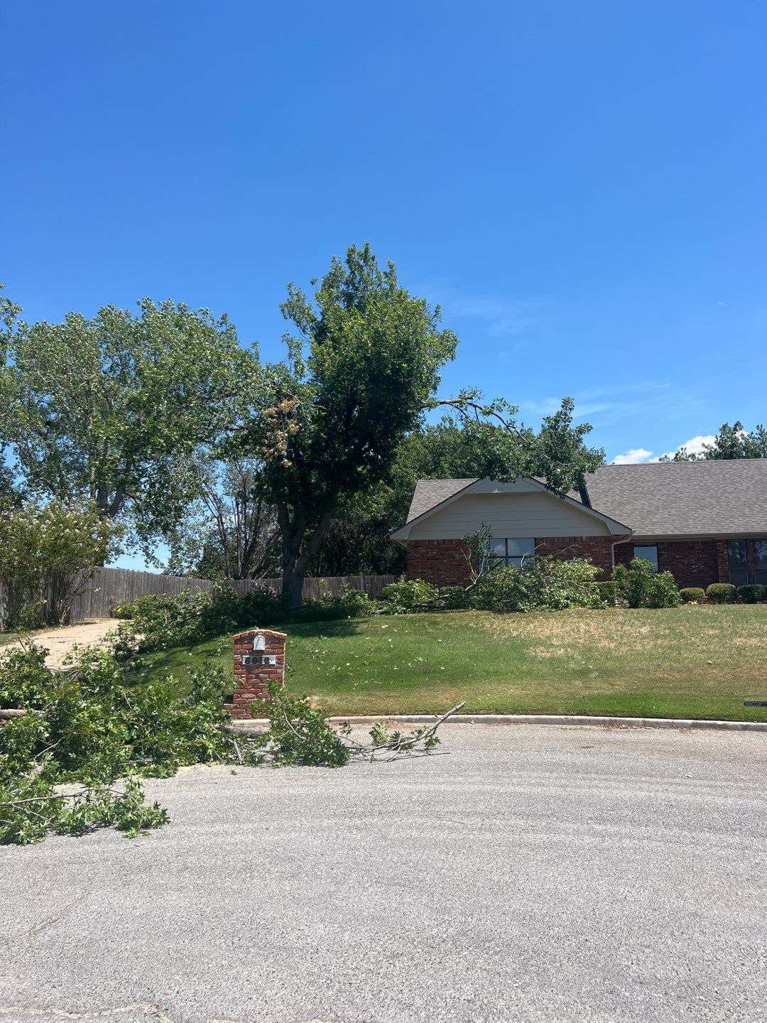 Tree Removals by Clays Services Inc