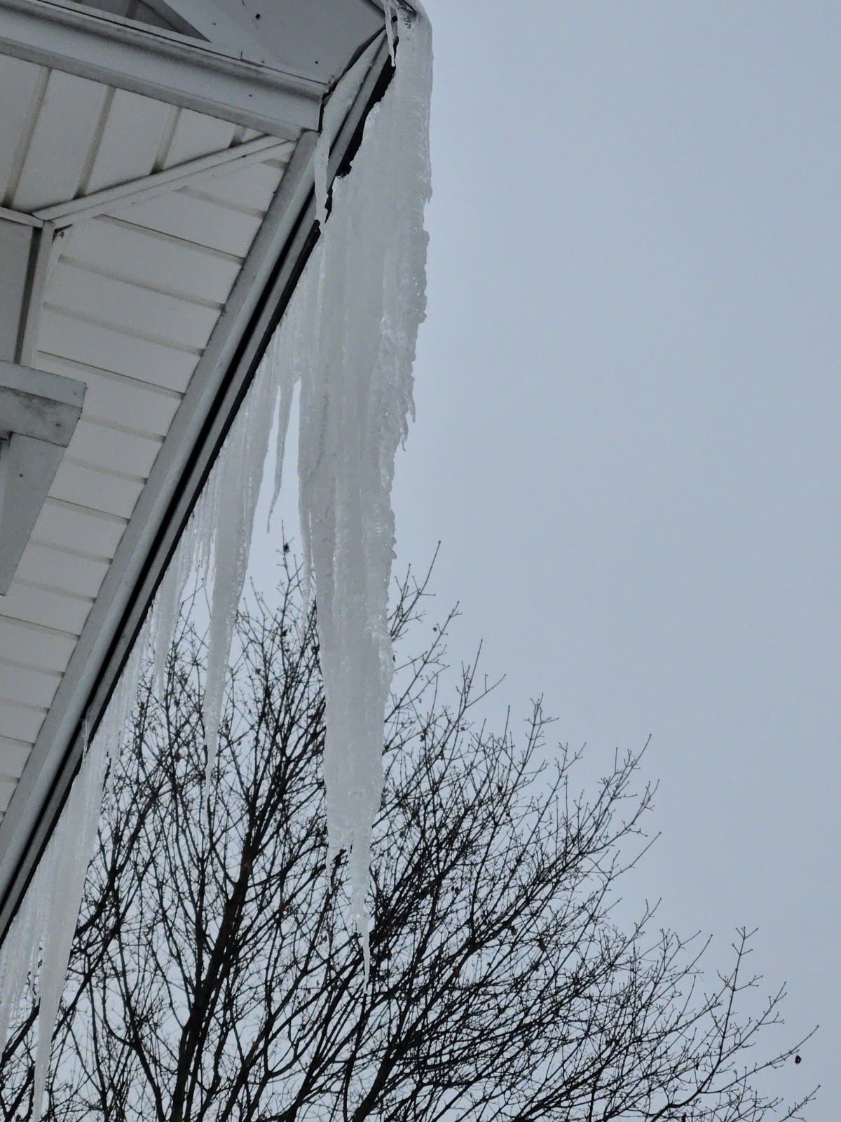 Snow and Ice dam removal by Mighty Dog Roofing of Greater Middlesex County