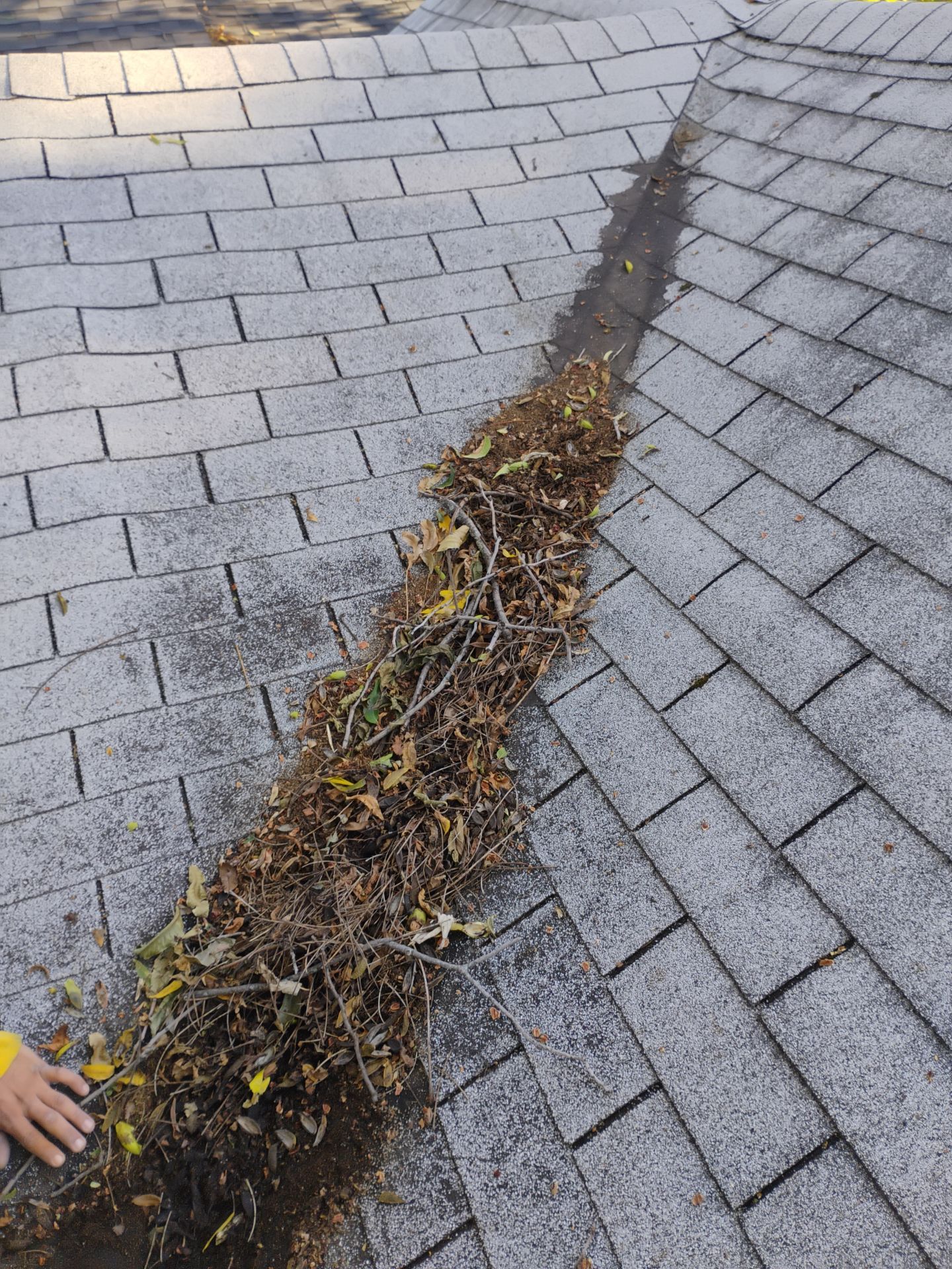 Roof Patch & Basement Plumbing Repair Project - Jennings, MO by Legendary Services Company LLC.